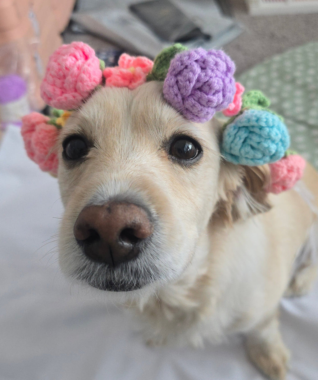 Crochet Flower Crown