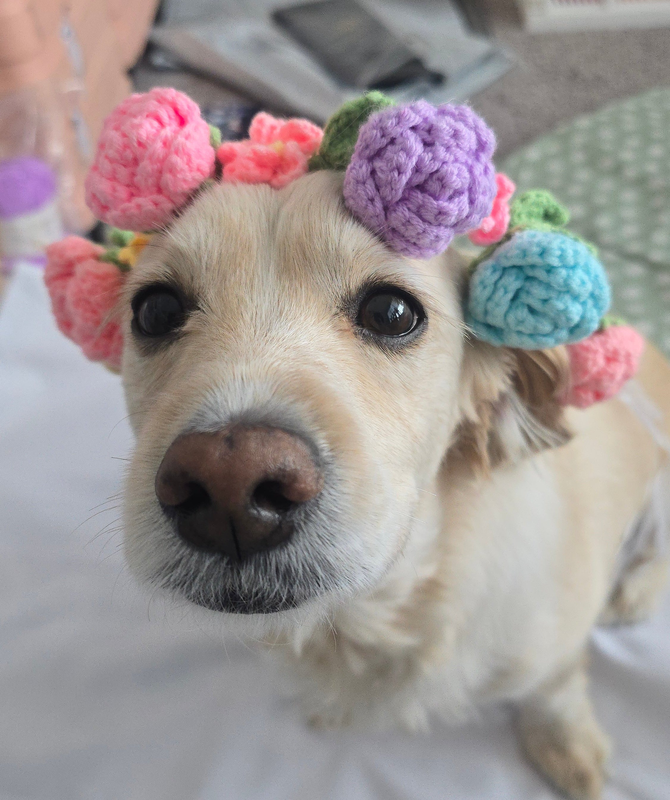 Crochet Flower Crown
