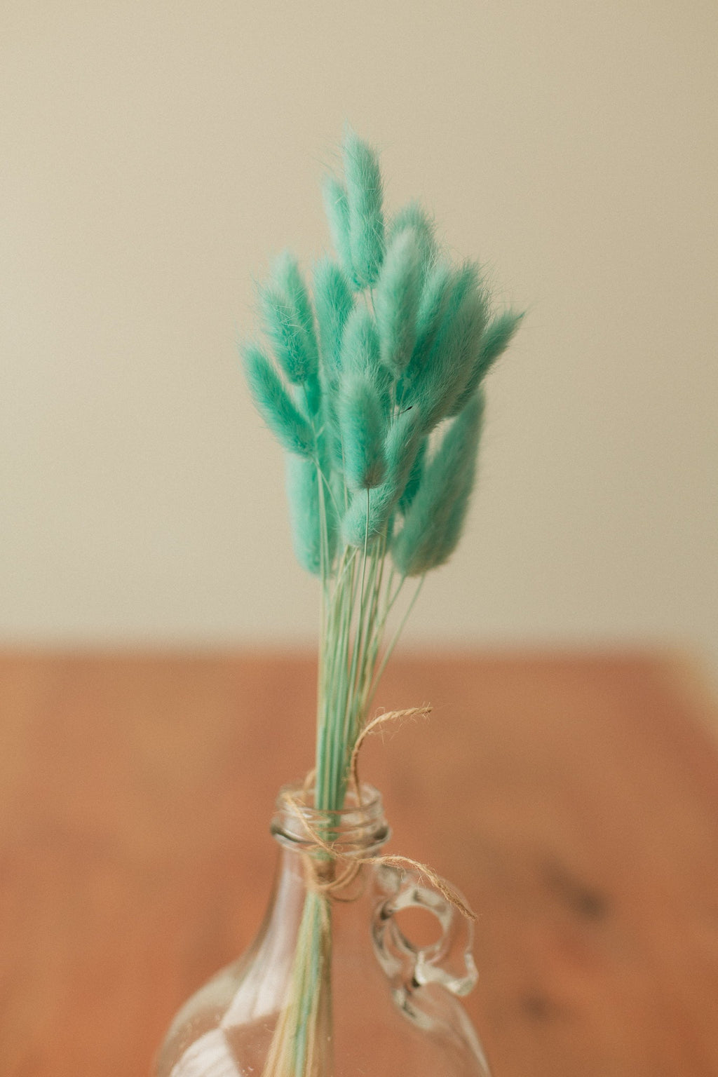 Bunny Tails