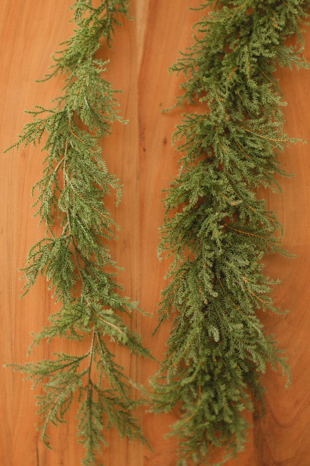 Cedar | Garland