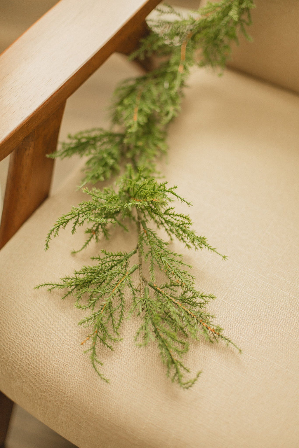 Cedar | Garland