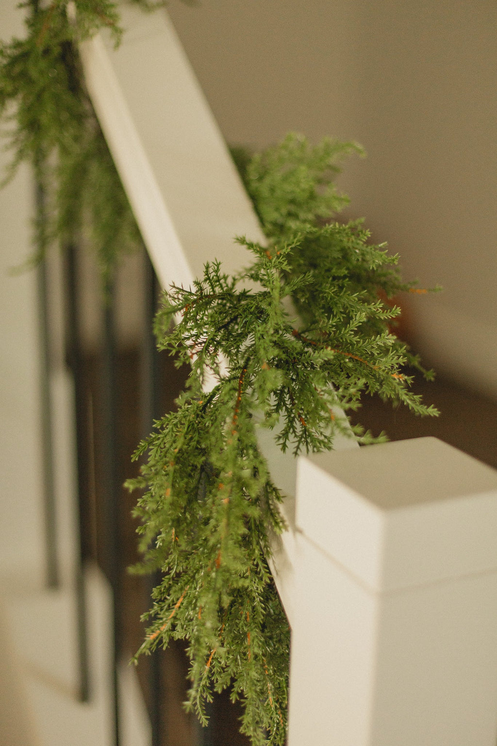 Cedar | Garland