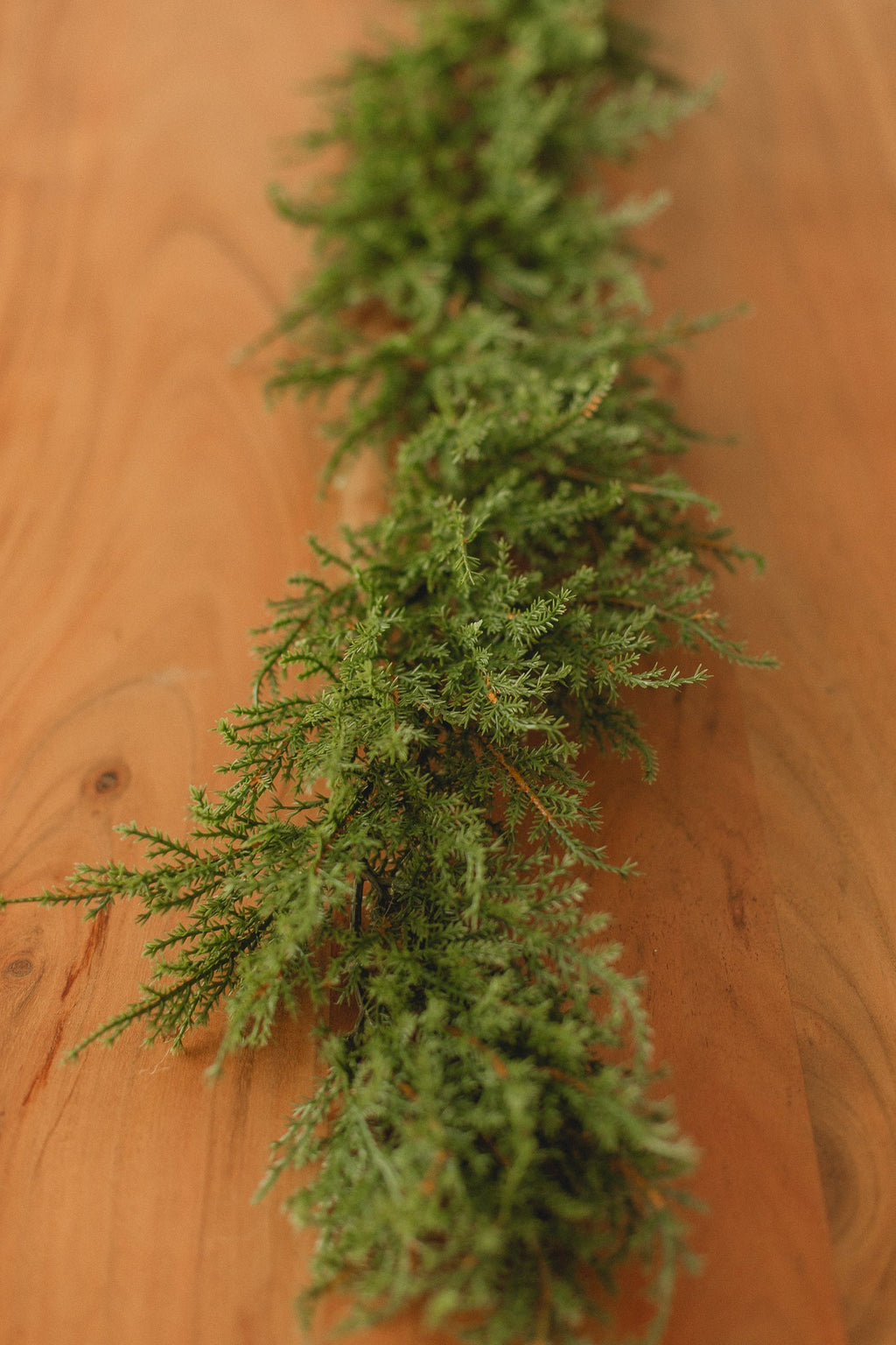 Cedar | Garland