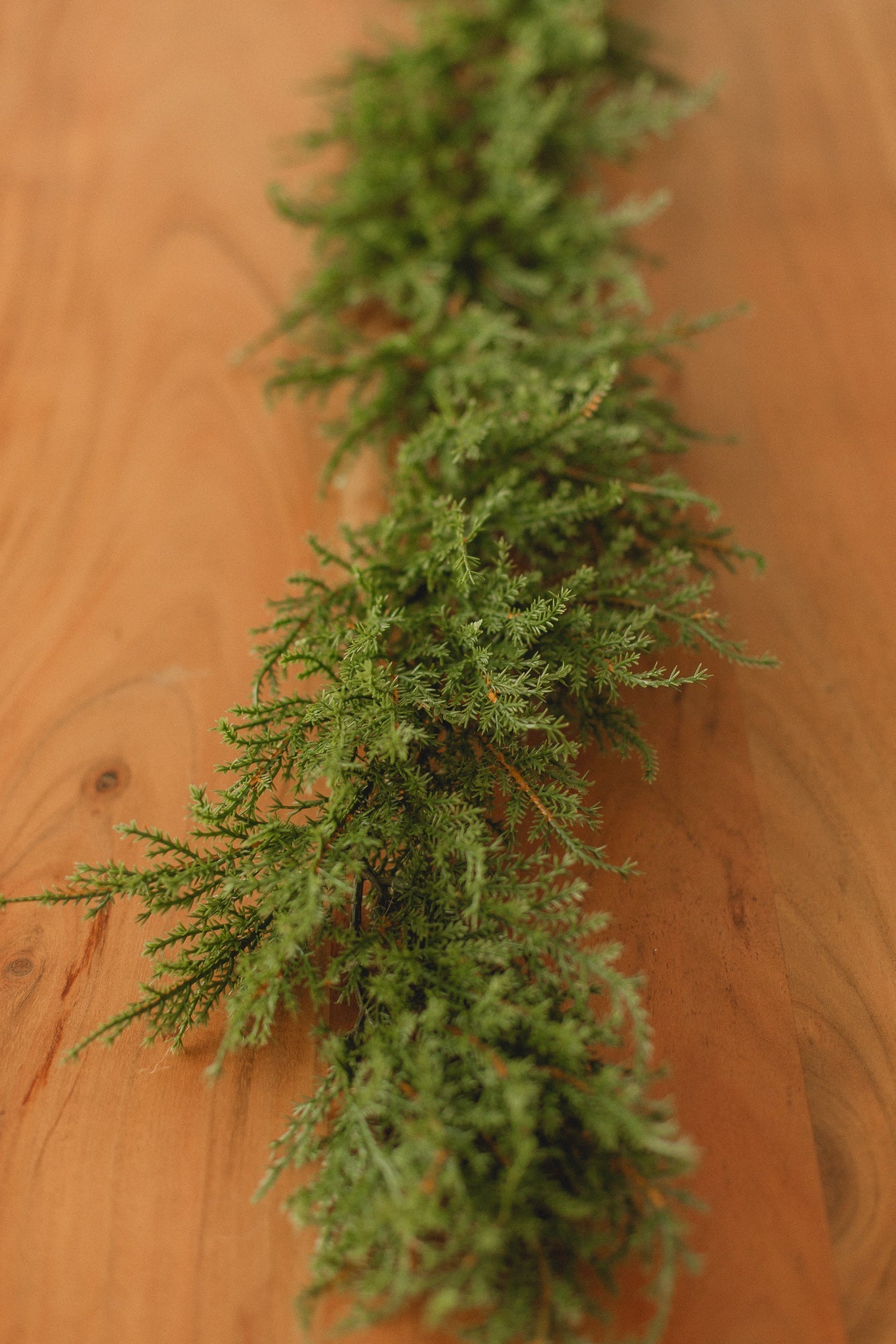 Cedar | Garland