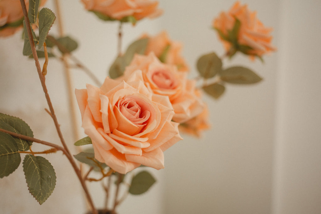 3 Blossom Rose Stem