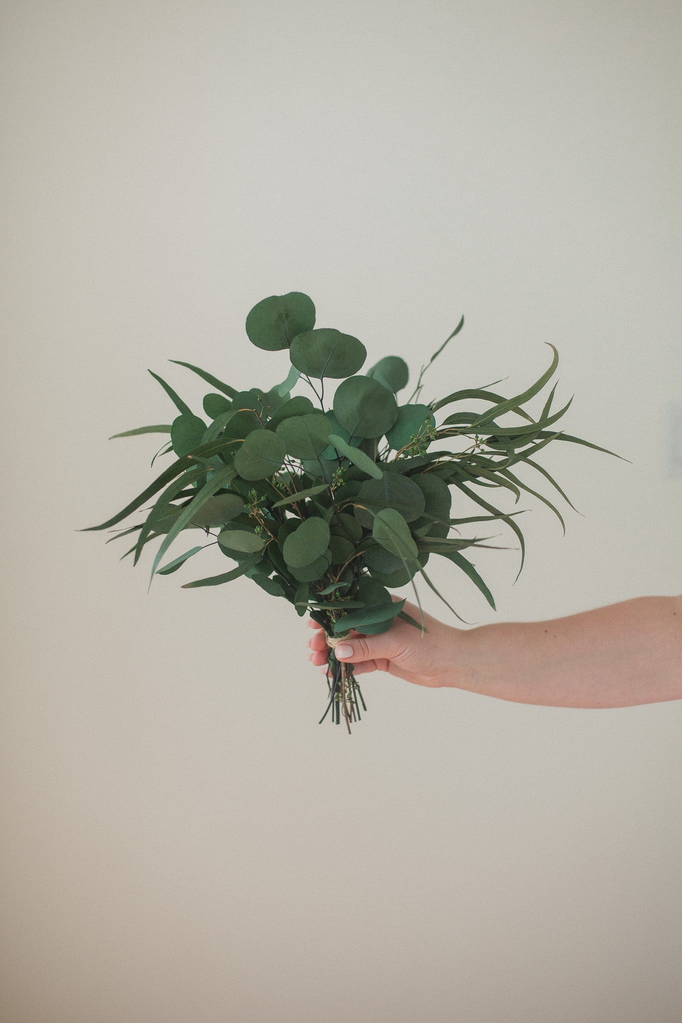 Eucalyptus Arrangement | Preserved
