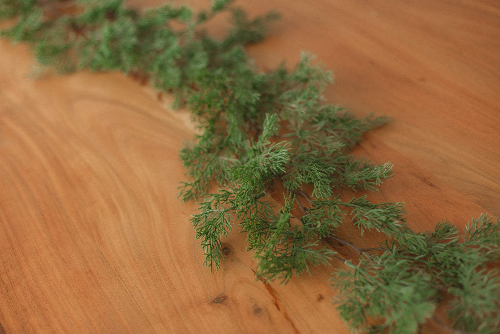 Cypress Pine | Garland