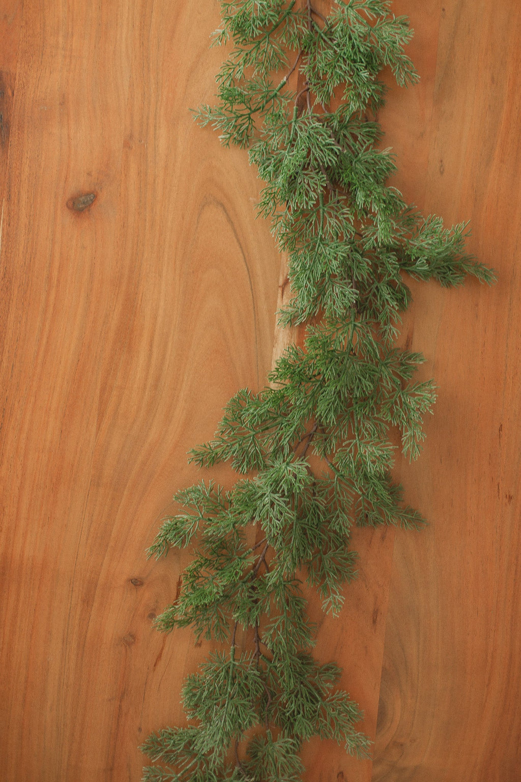 Cypress Pine | Garland