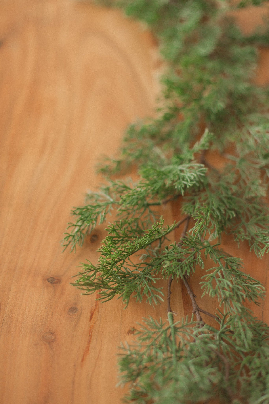 Cypress Pine | Garland