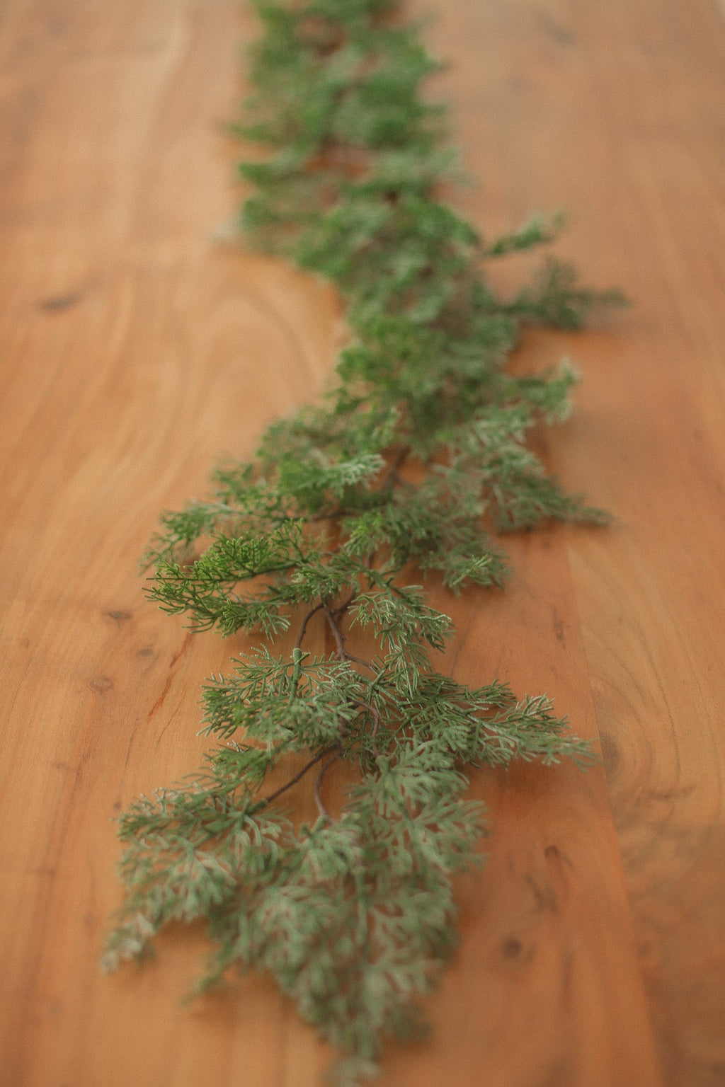 Cypress Pine | Garland