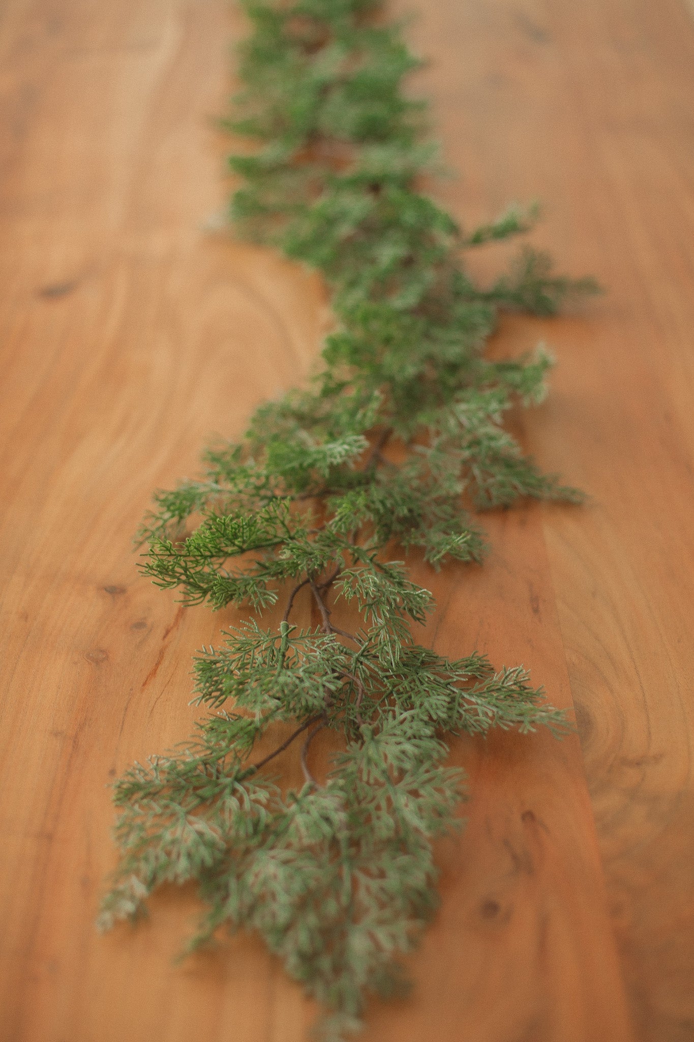 Cypress Pine | Garland