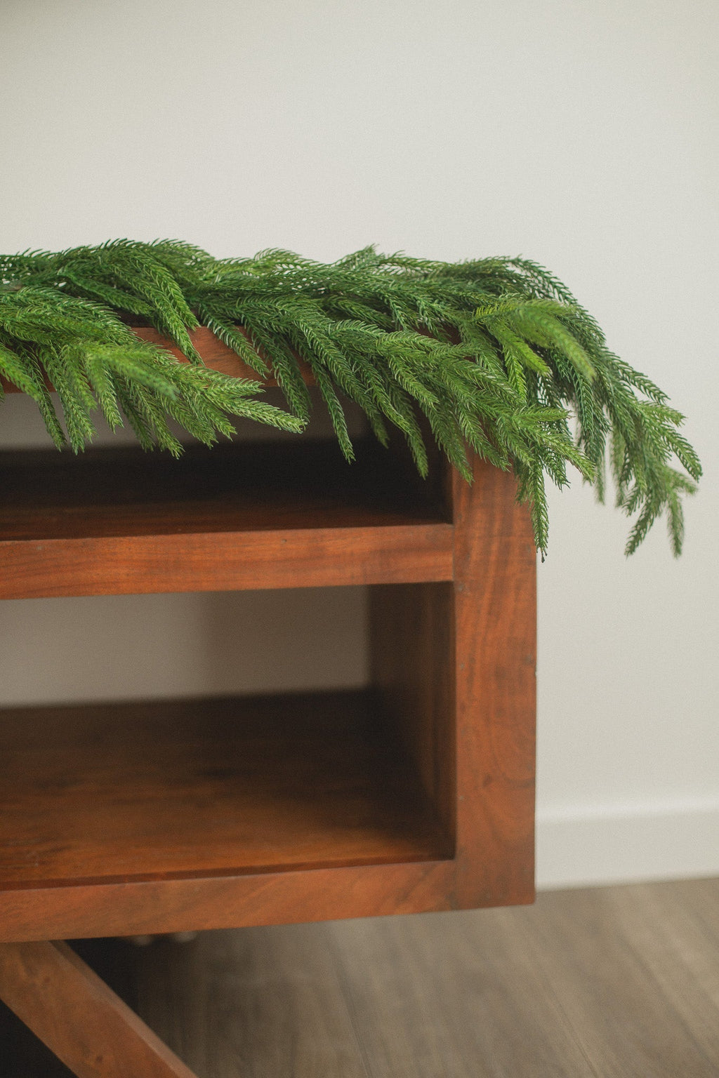 Norfolk Pine | Garland