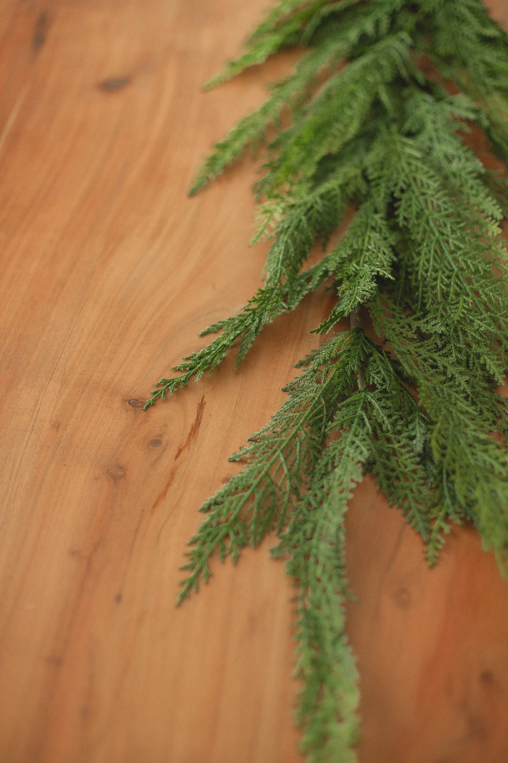 Canadian Cedar Pine | Garland