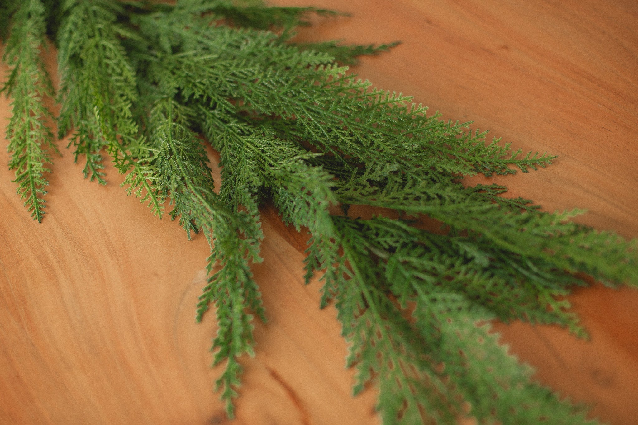 Canadian Cedar Pine | Garland