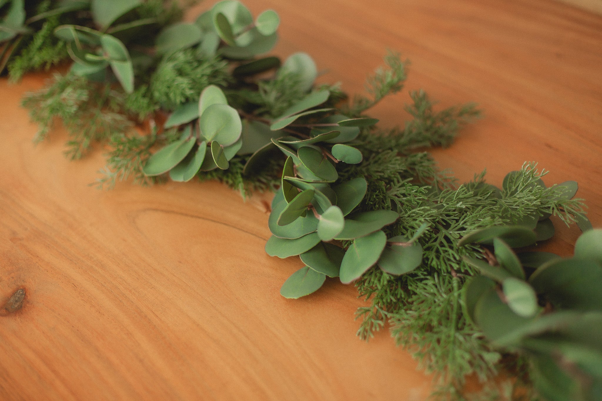 Cypress Pine | Garland