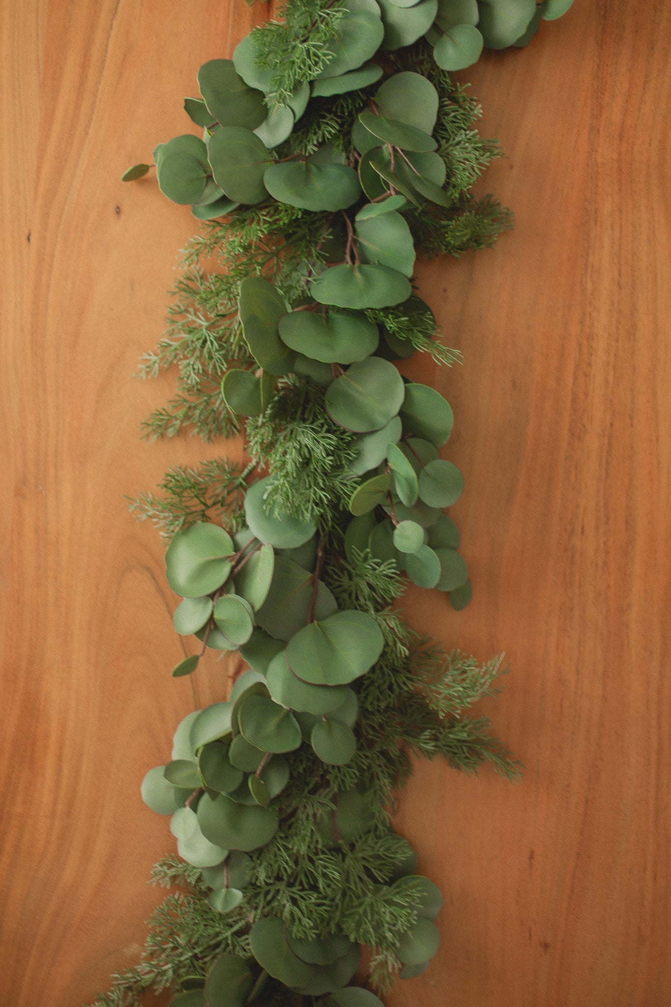 Cypress Pine | Garland