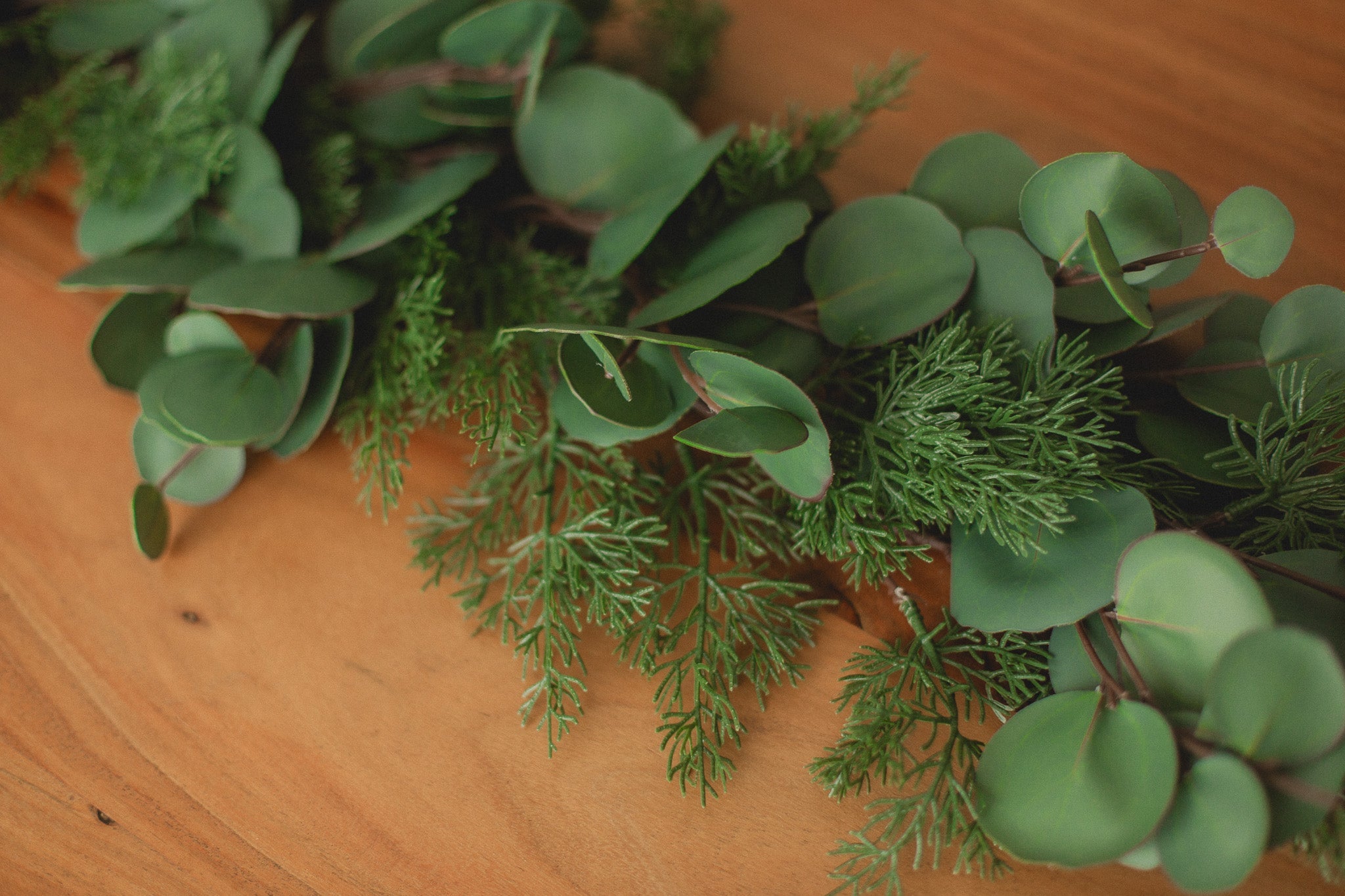Cypress Pine | Garland