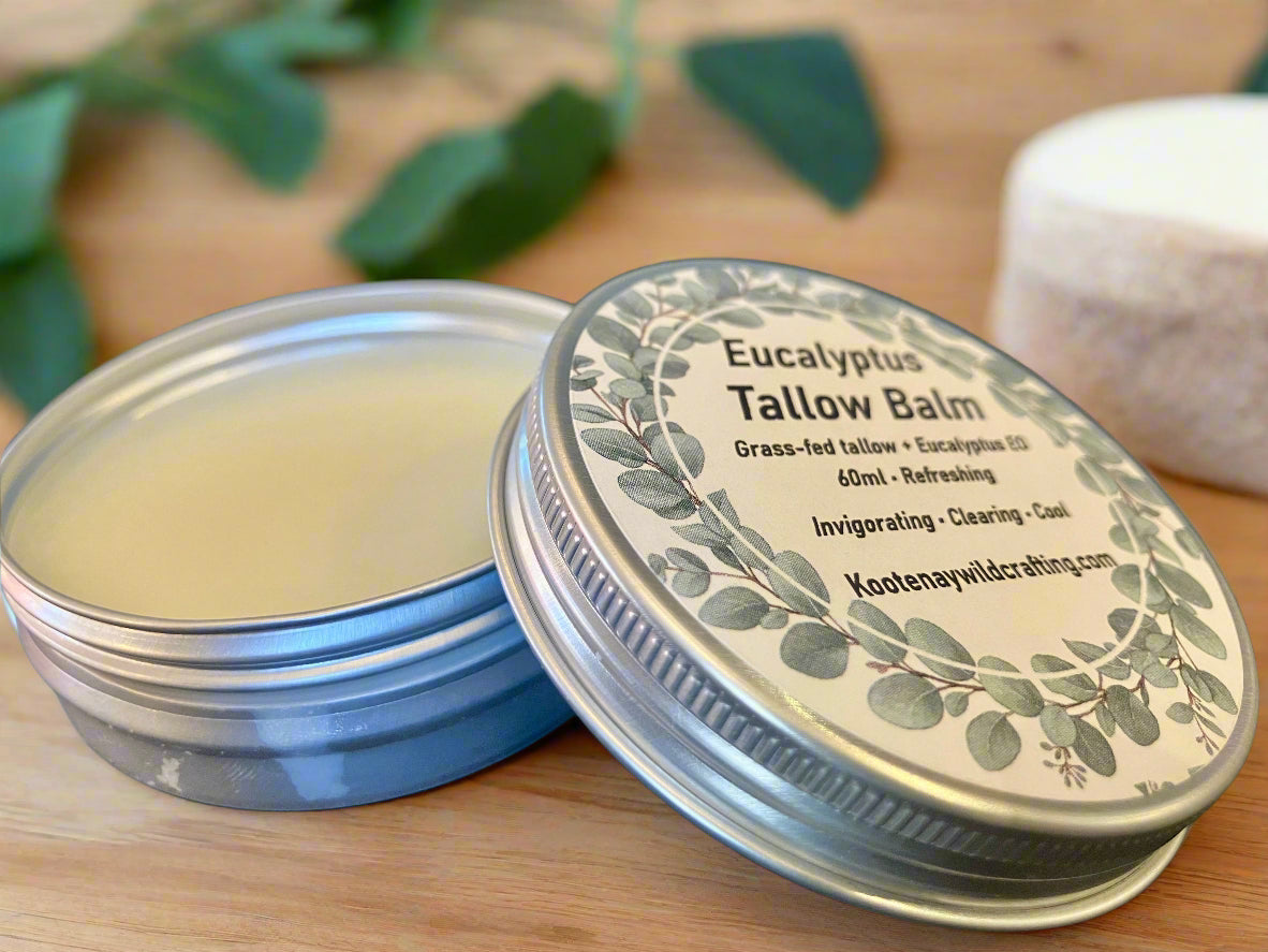 Grass Fed Tallow Balm | Pack of 5