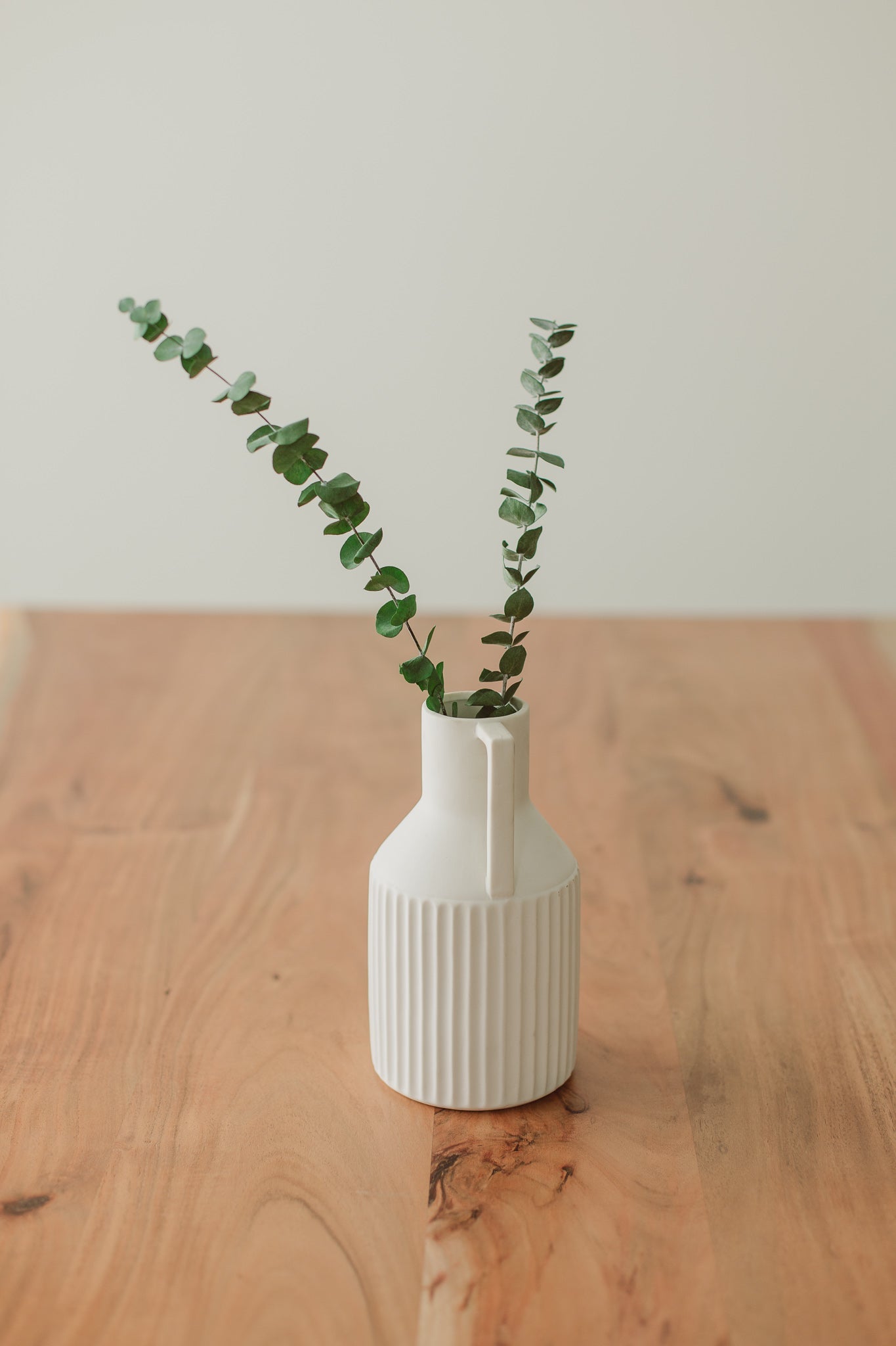 Preserved Eucalyptus Stems | Medium