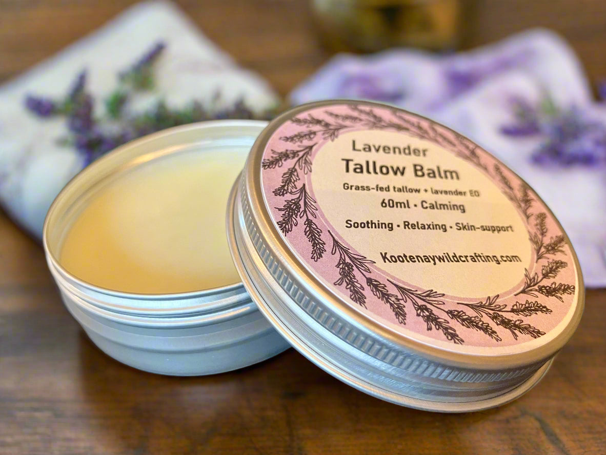 Grass Fed Tallow Balm | Pack of 5