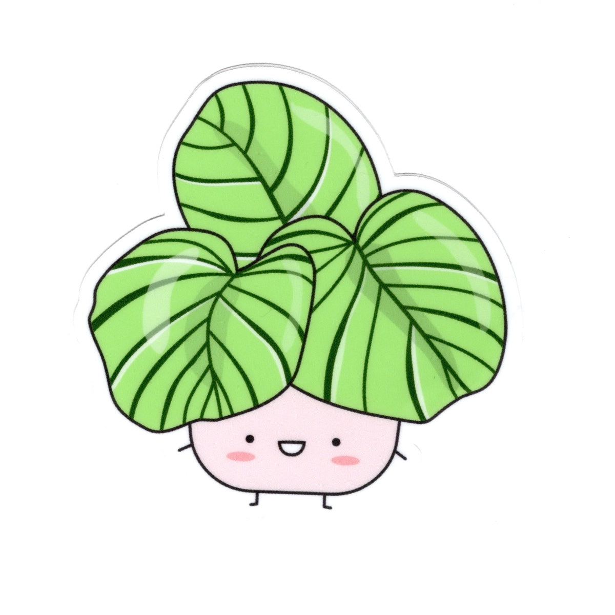 Calathea Orbifolia | Vinyl Die Cut Sticker