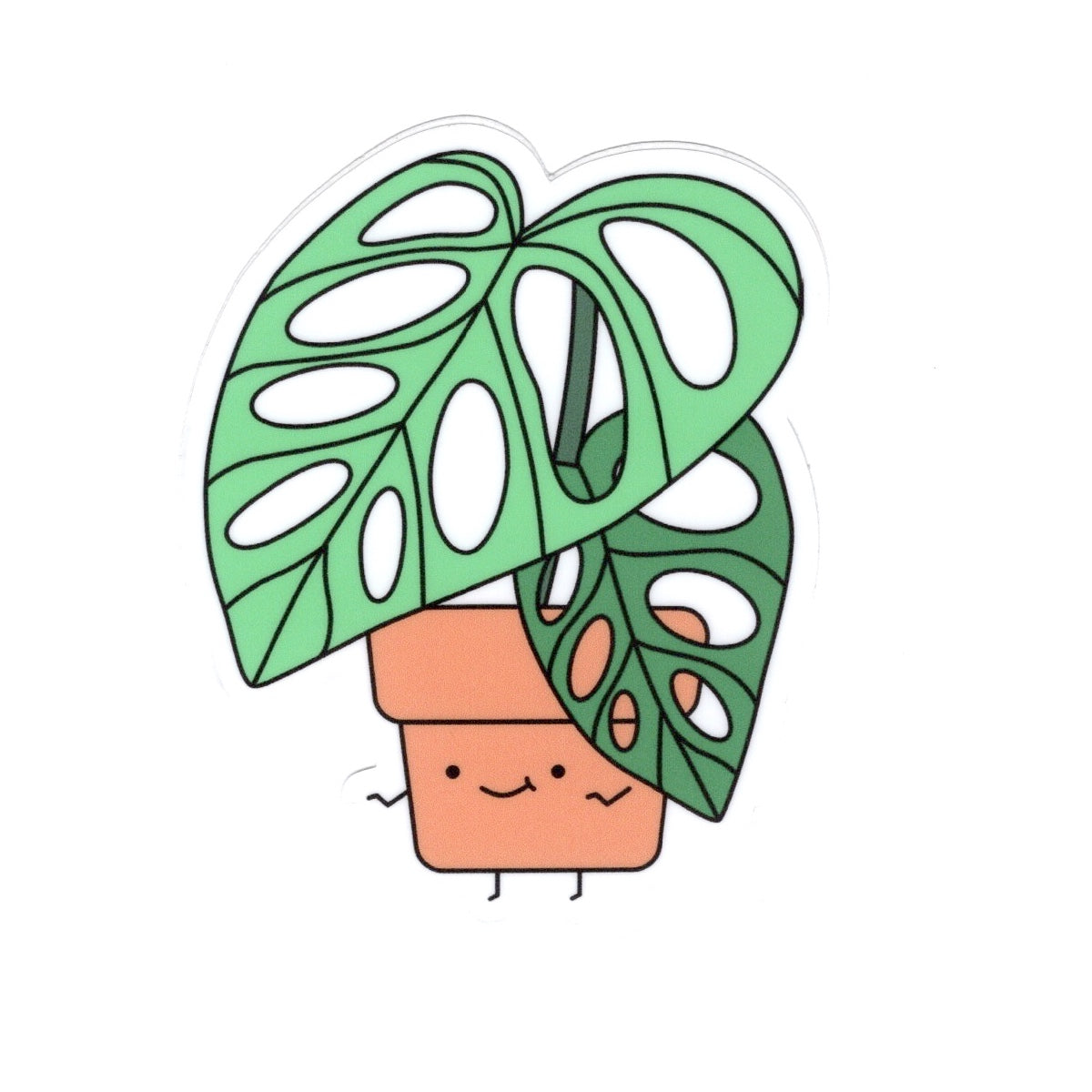 Monstera Adansonii | Vinyl Die Cut Sticker