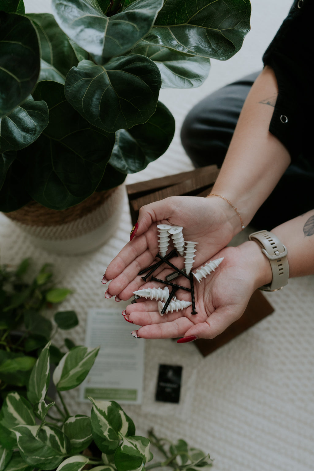 Wall Mounted Solid Wood Plant Shelf | Woodland Brown (Set of 3)