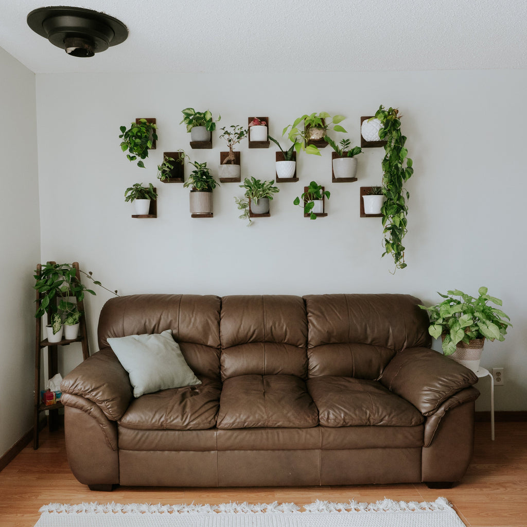 Wall Mounted Solid Wood Plant Shelf | Woodland Brown (Set of 3)