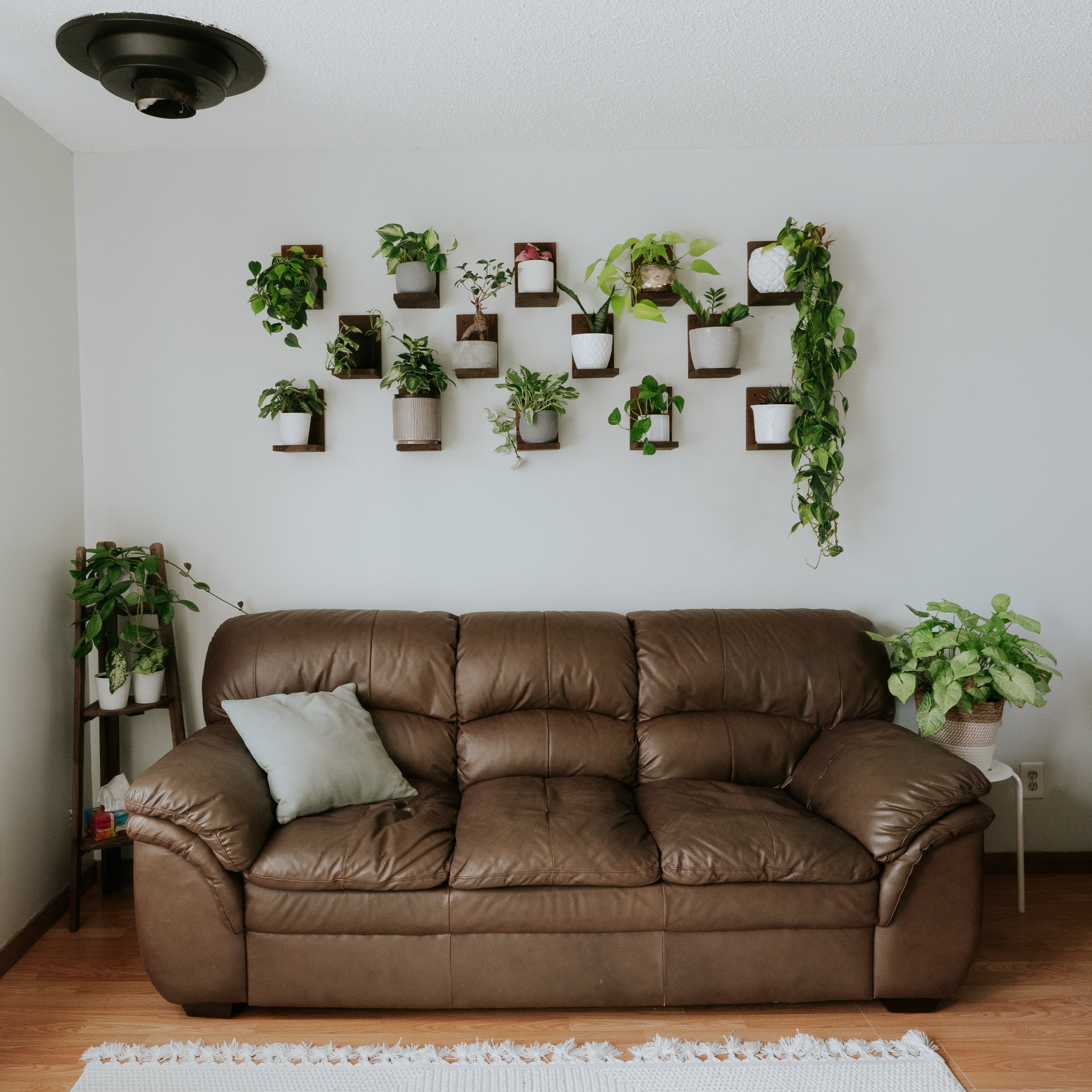 Wall Mounted Solid Wood Plant Shelf | Woodland Brown (Set of 3)