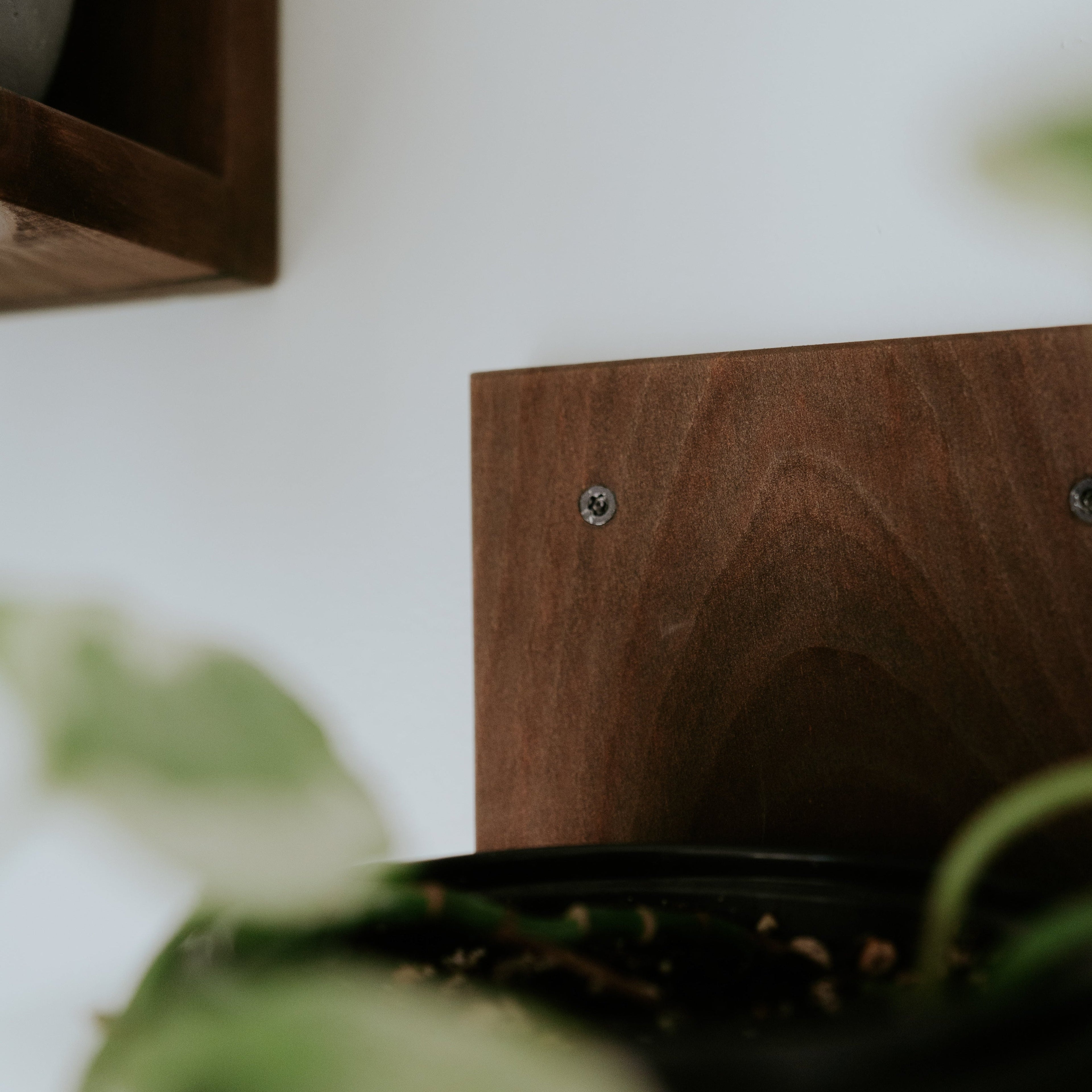 Wall Mounted Solid Wood Plant Shelf | Woodland Brown (Set of 3)