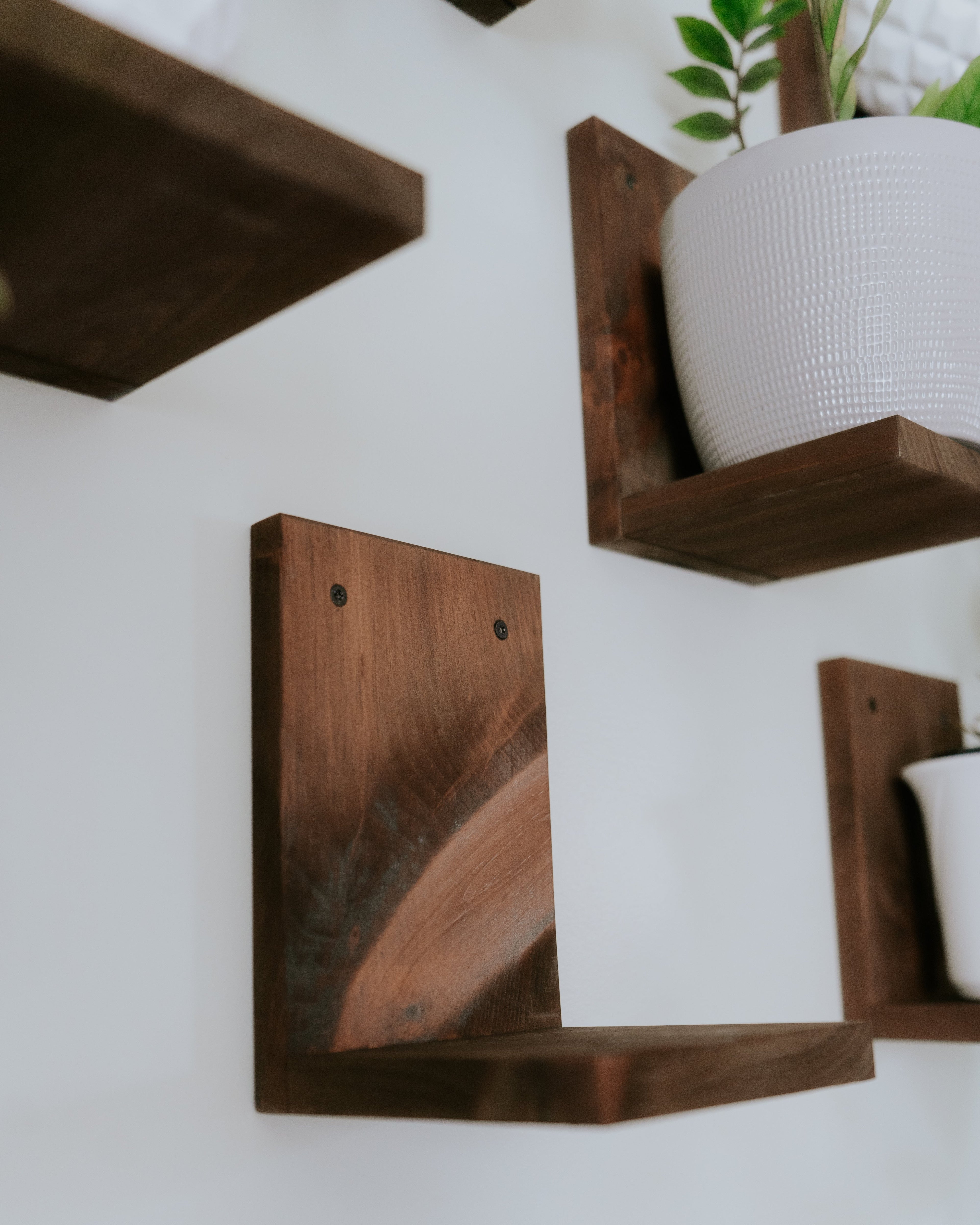 Wall Mounted Solid Wood Plant Shelf | Woodland Brown (Set of 3)