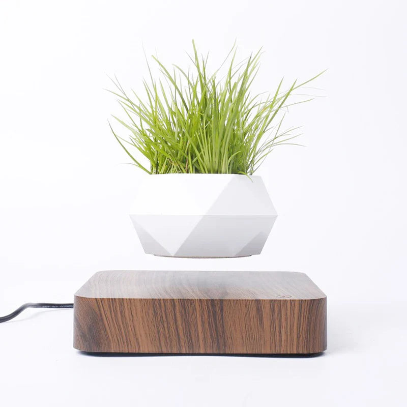 Magic Levitating Pot