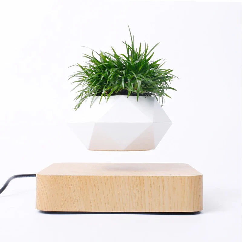 Magic Levitating Pot