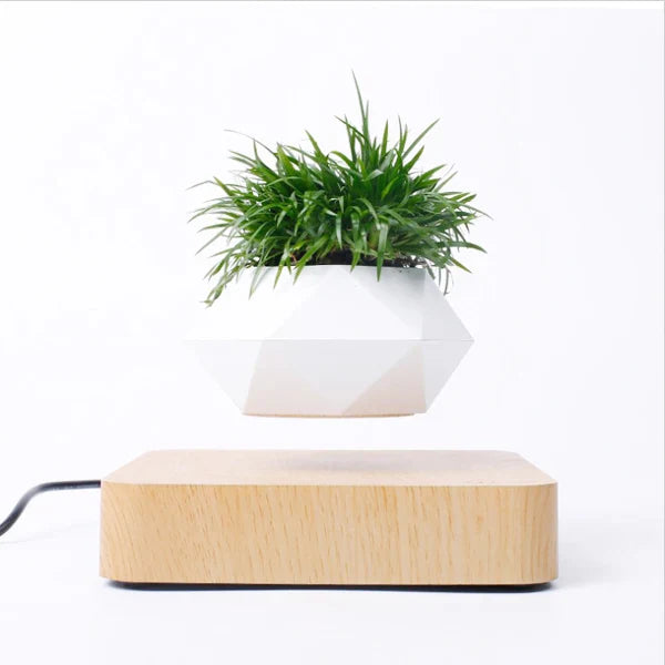 Magic Levitating Pot