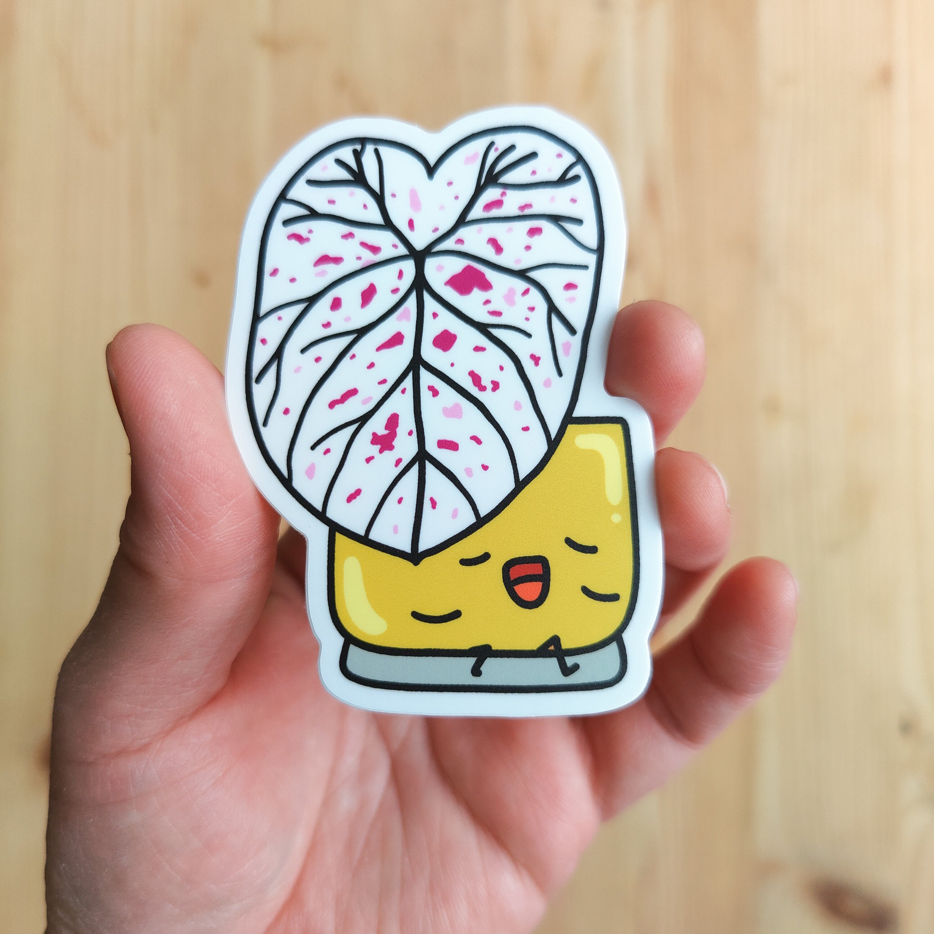 Caladium Cranberry Star | Vinyl Sticker