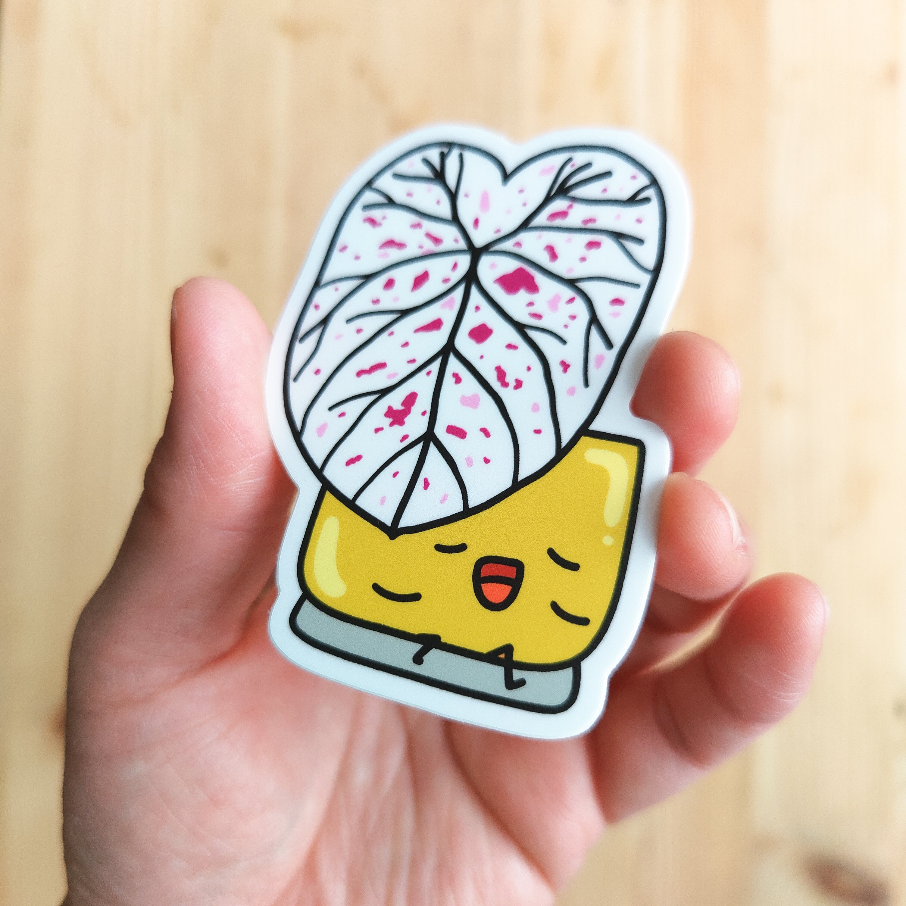 Caladium Cranberry Star | Vinyl Sticker