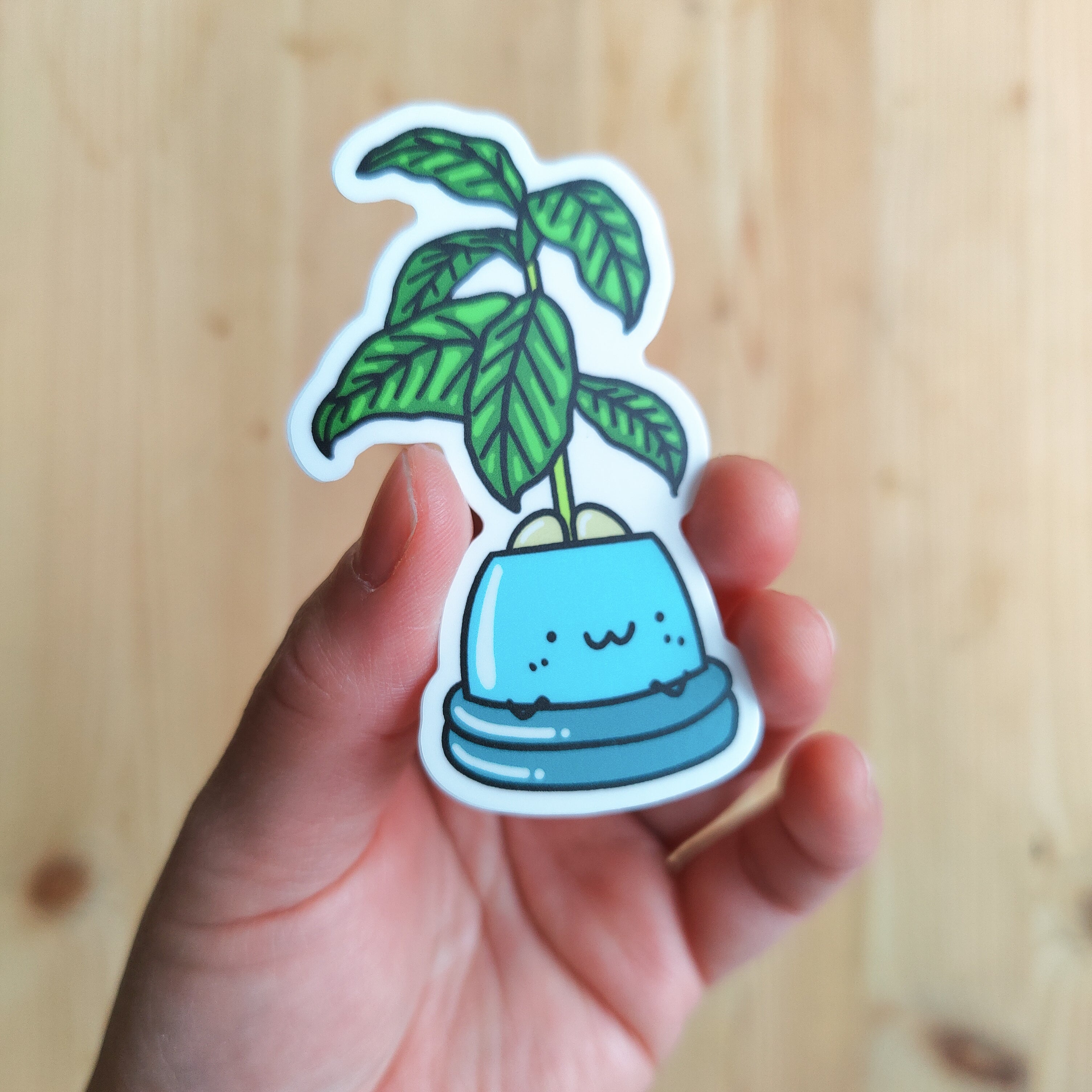 Avocado | Vinyl Sticker