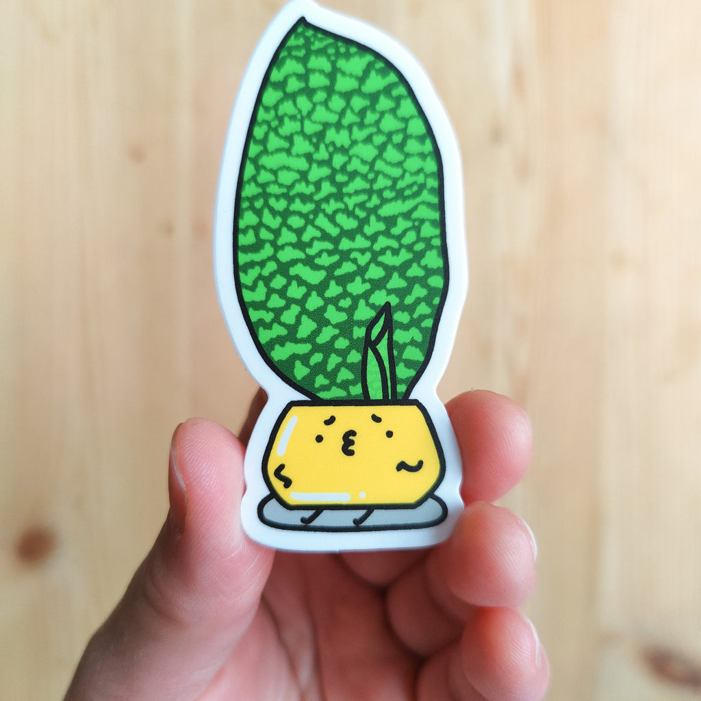 Dracaena Masoniana | Vinyl Sticker