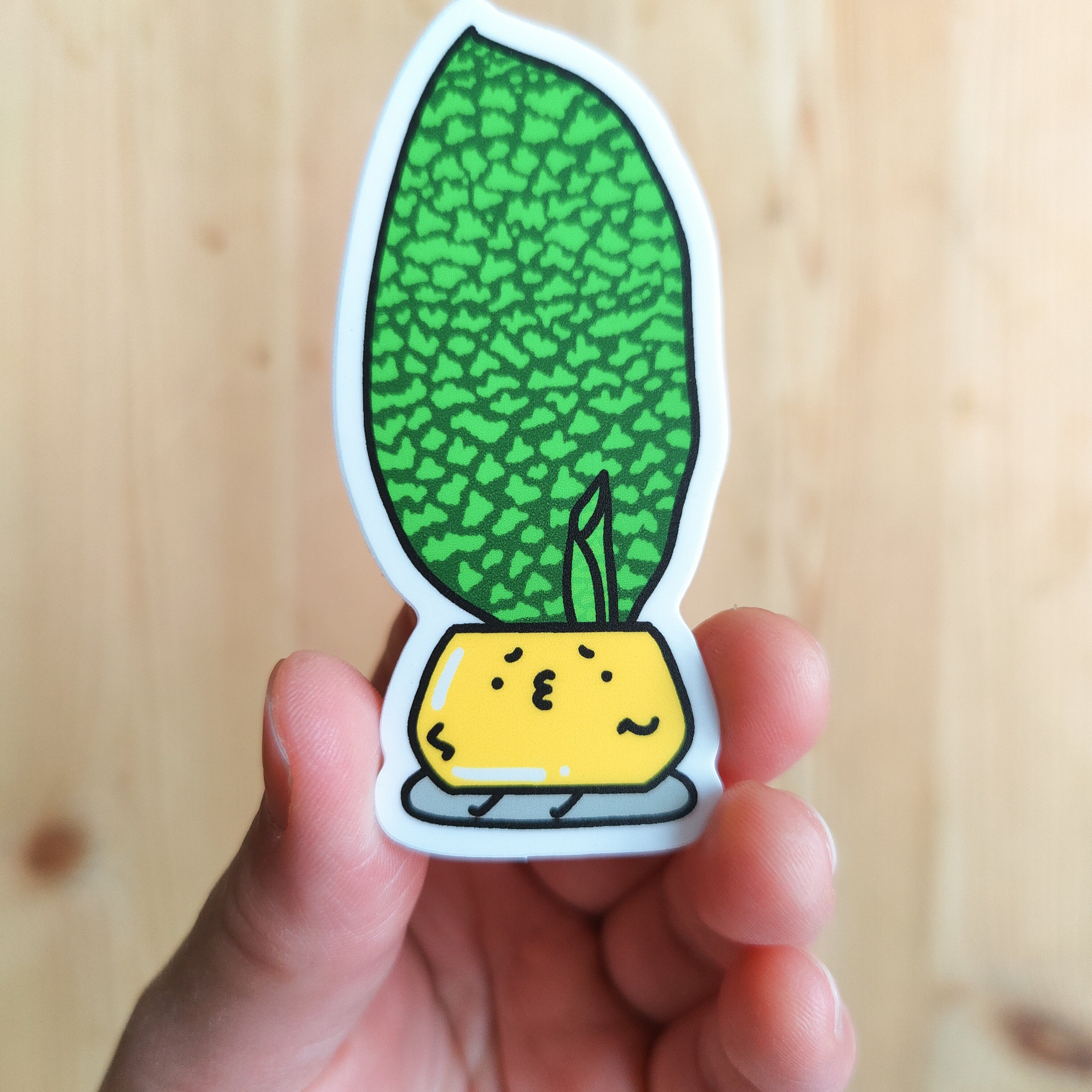 Dracaena Masoniana | Vinyl Sticker