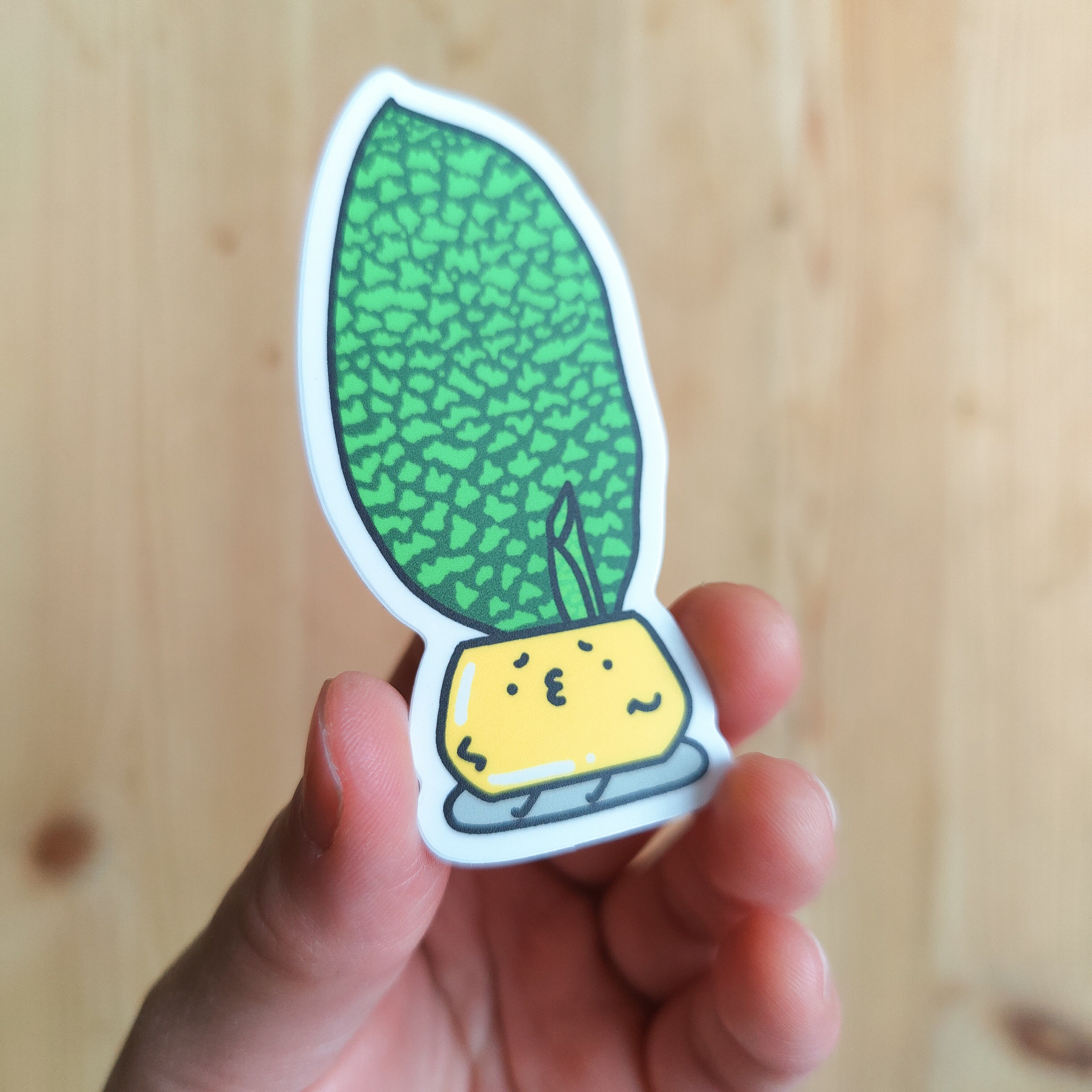 Dracaena Masoniana | Vinyl Sticker