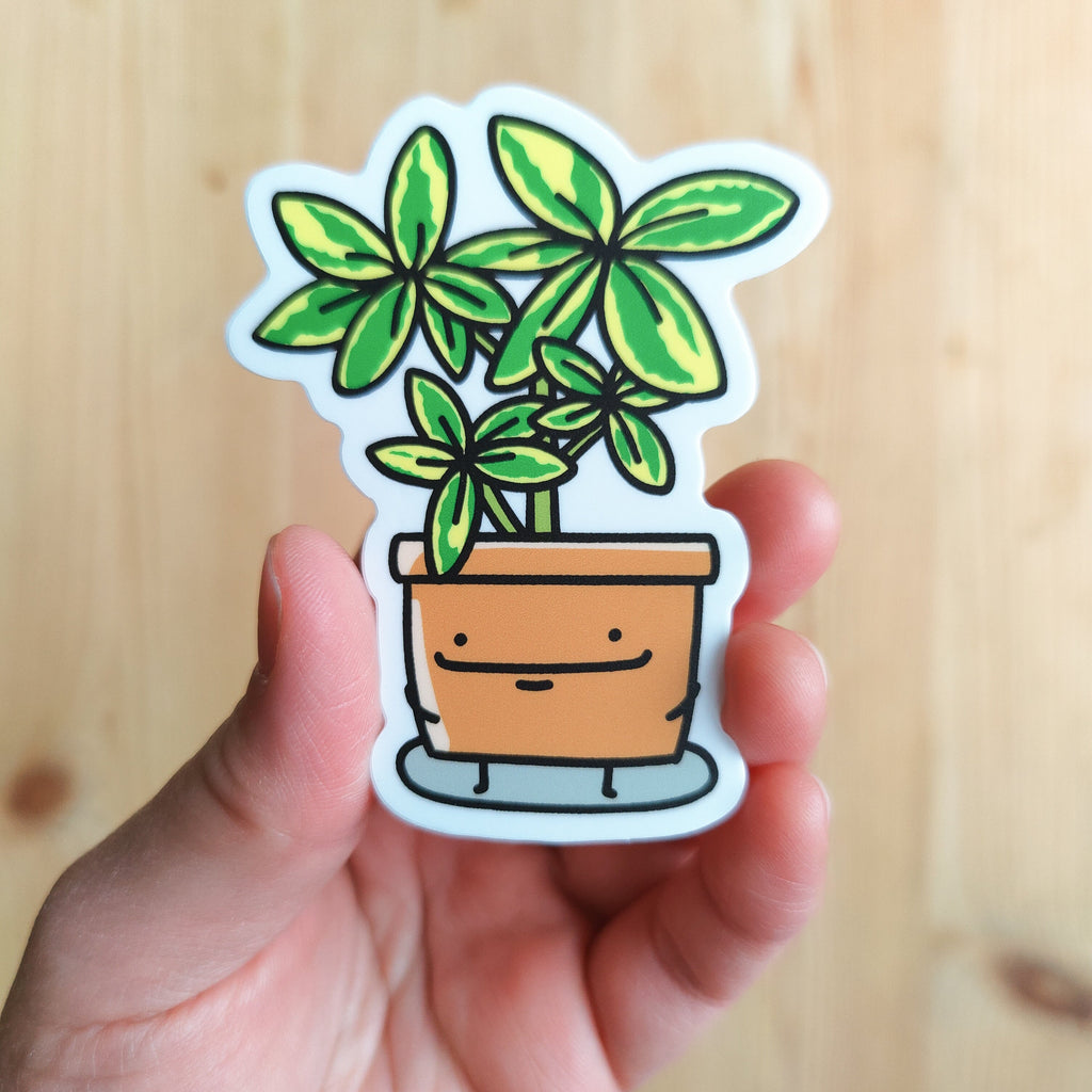 Schefflera | Vinyl Sticker