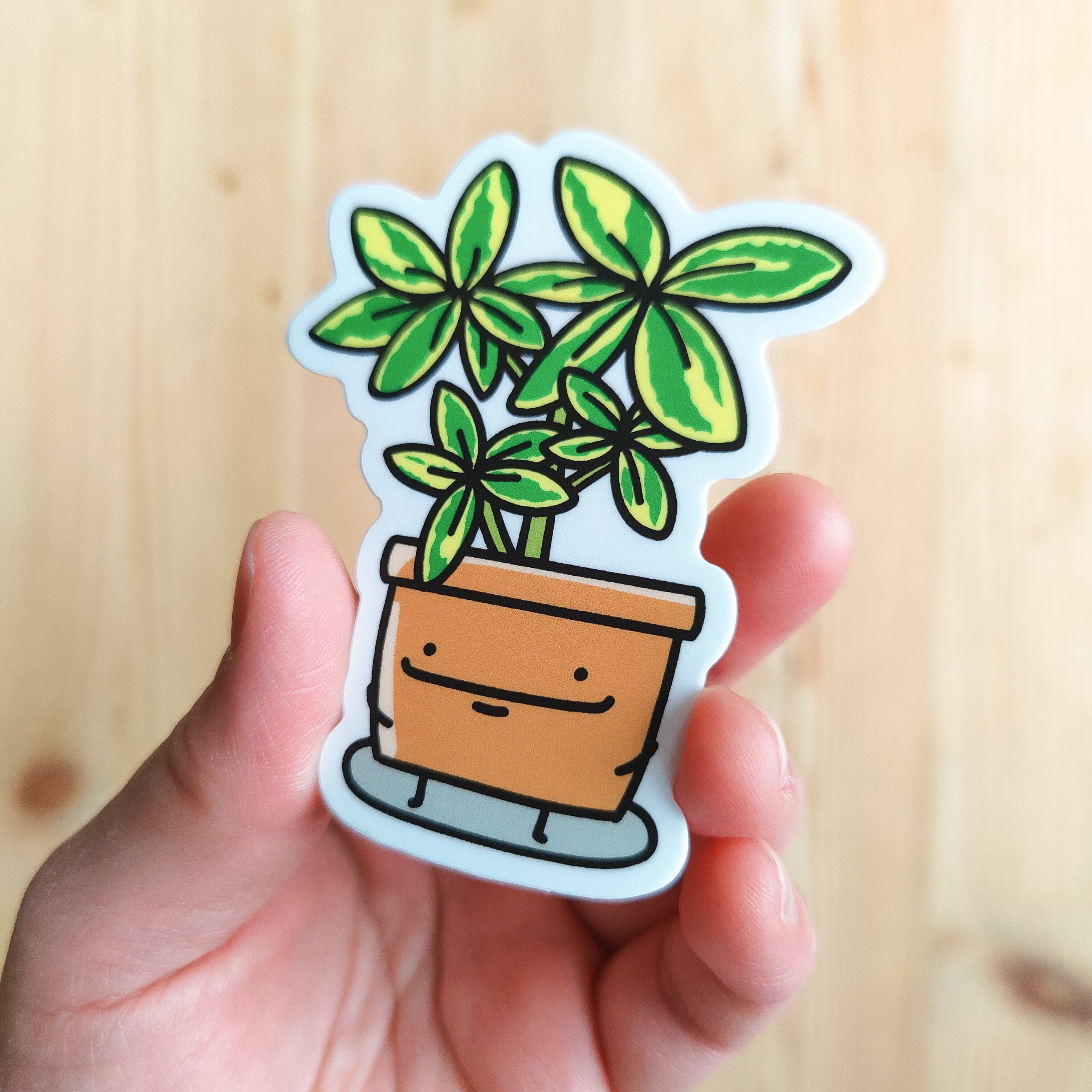 Schefflera | Vinyl Sticker