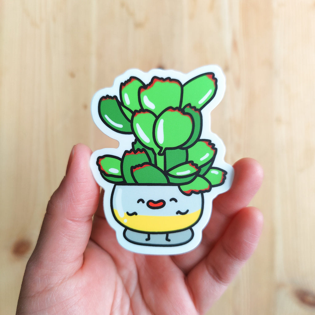 Bear Paw Succulent | Vinyl Sticker