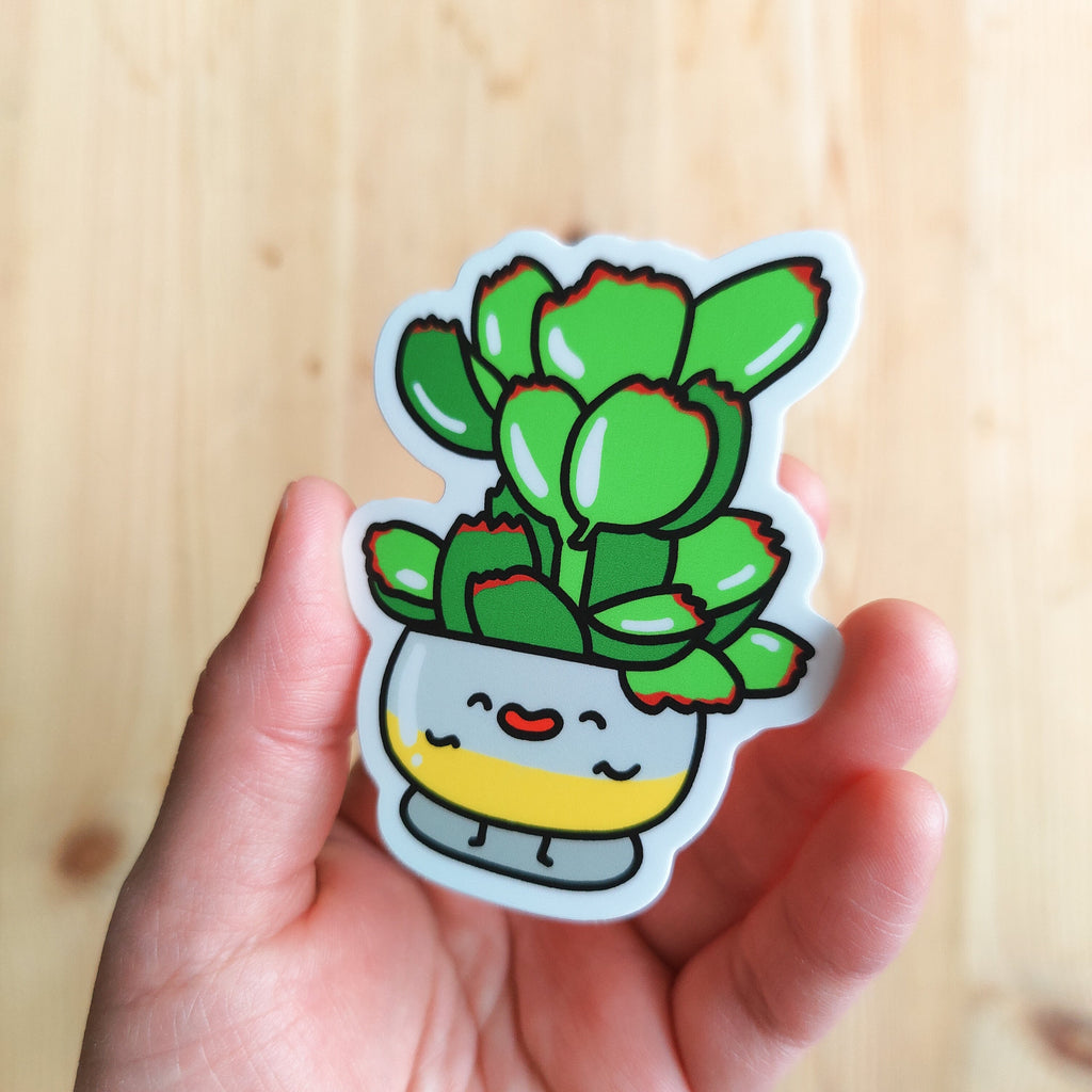 Bear Paw Succulent | Vinyl Sticker