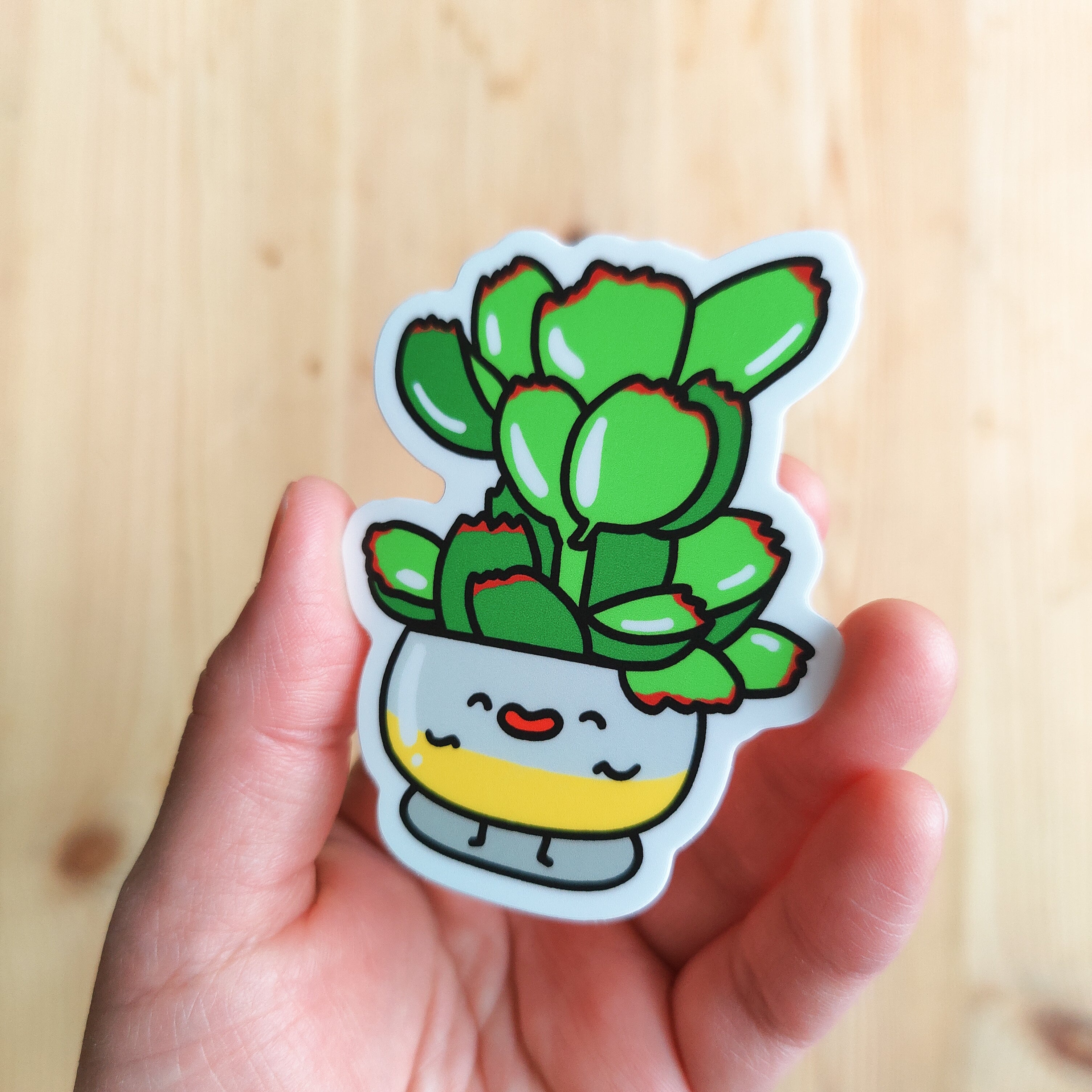 Bear Paw Succulent | Vinyl Sticker