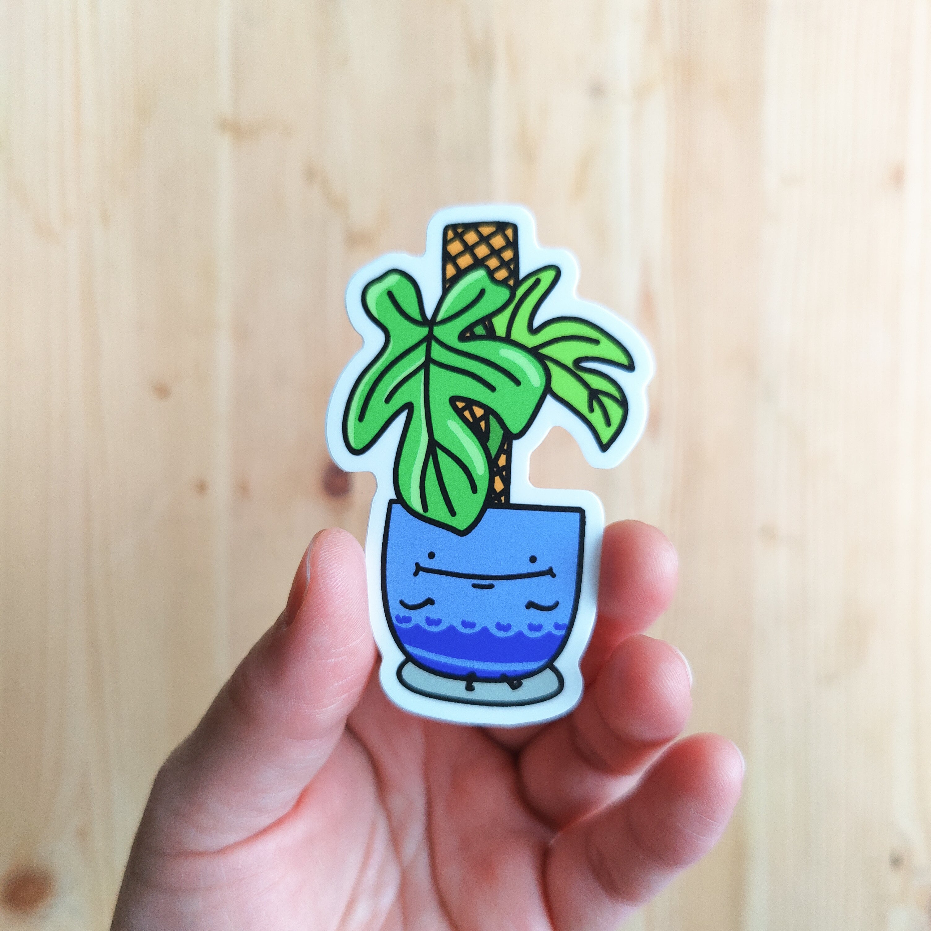 Philodendron Bipennidolium | Vinyl Sticker