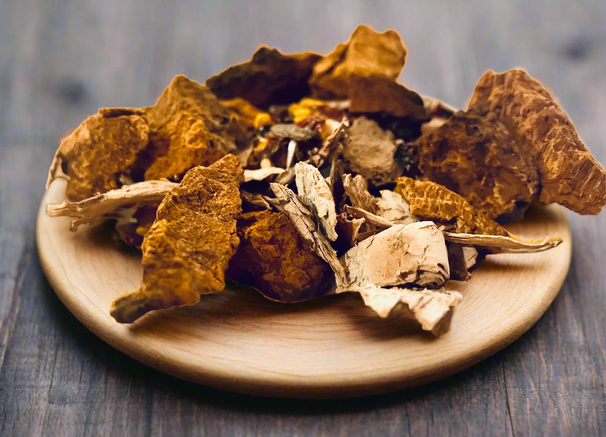 Warm Earth Chaga Turmeric | Tea