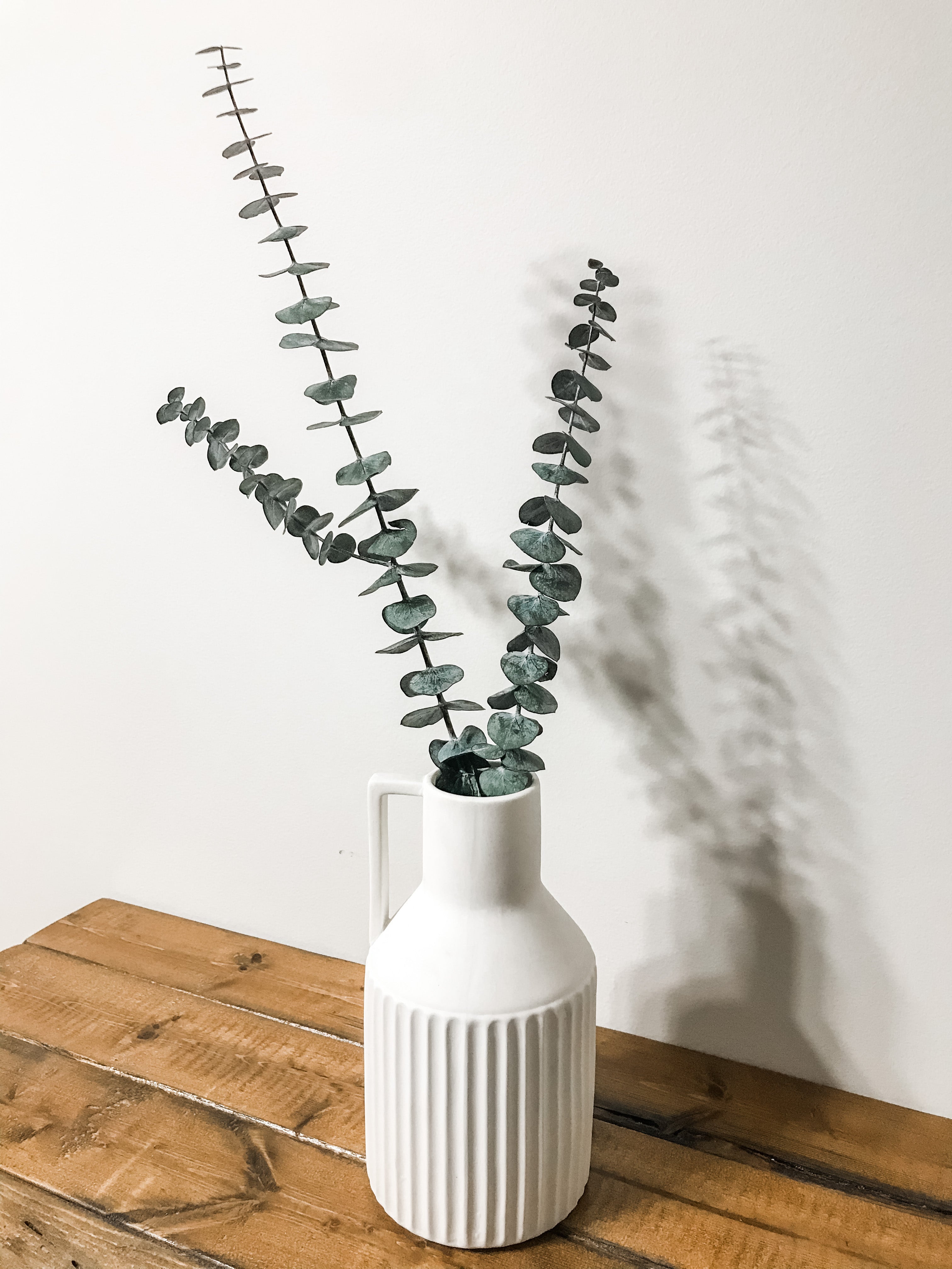 Preserved Eucalyptus Stems | Medium