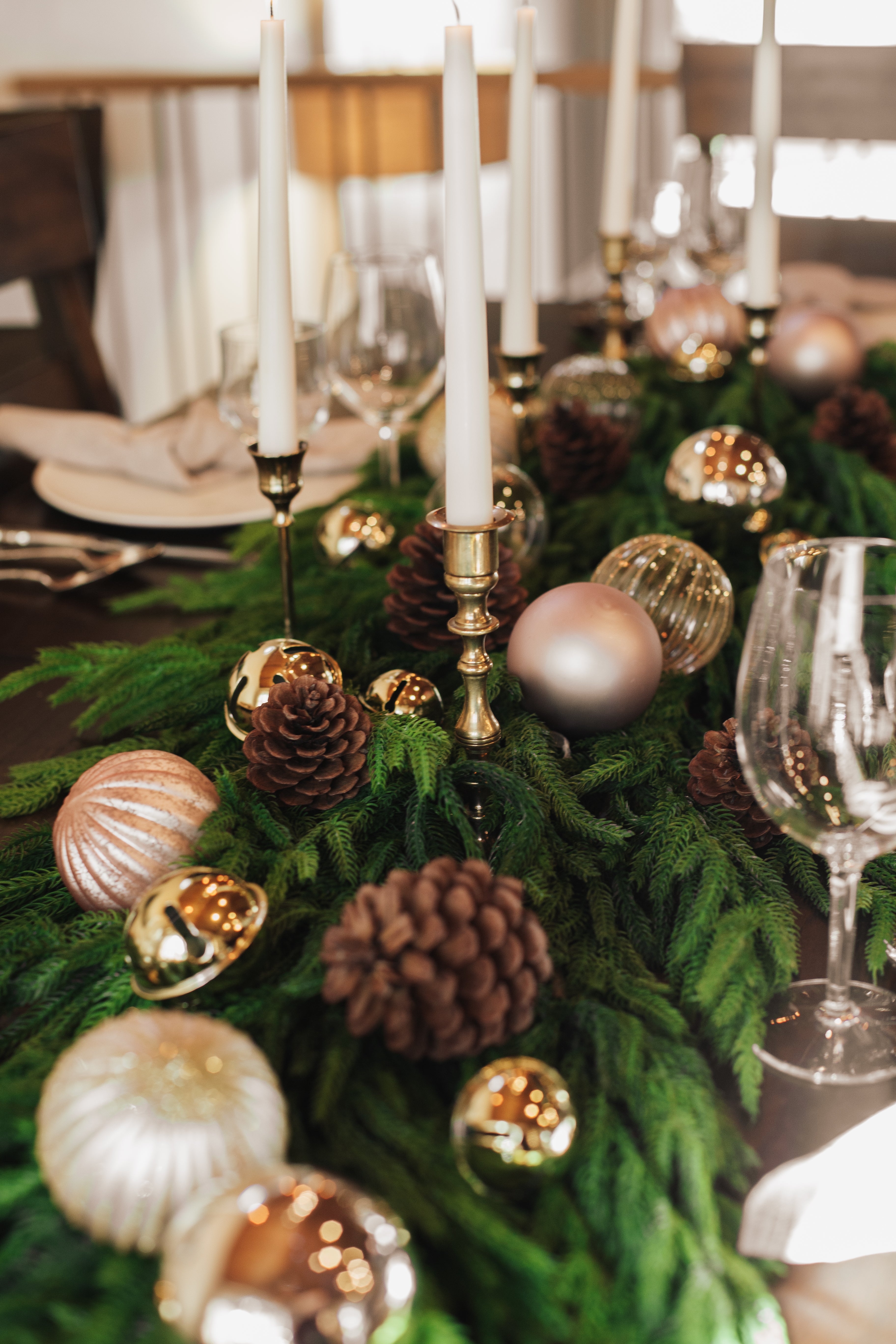 Norfolk Pine | Garland