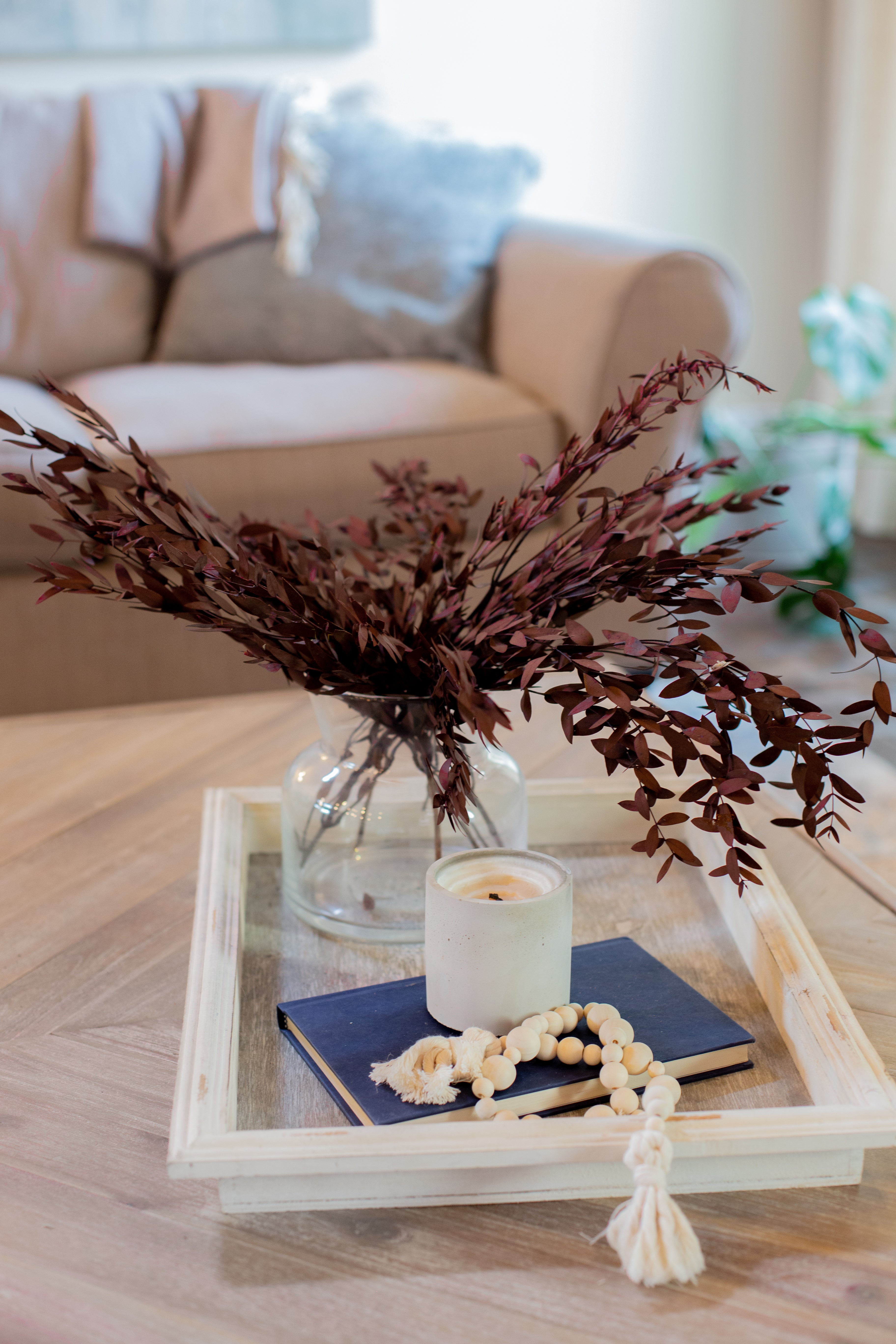 Short Willow Eucalyptus (Parvifolia) | Preserved